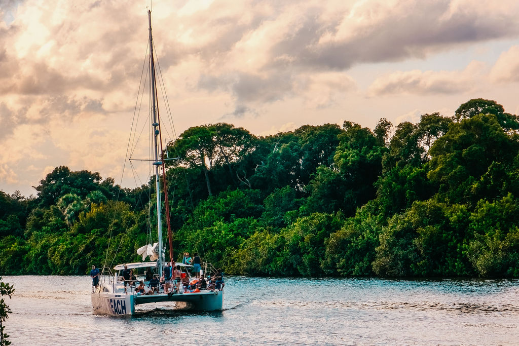 Boat near the trees