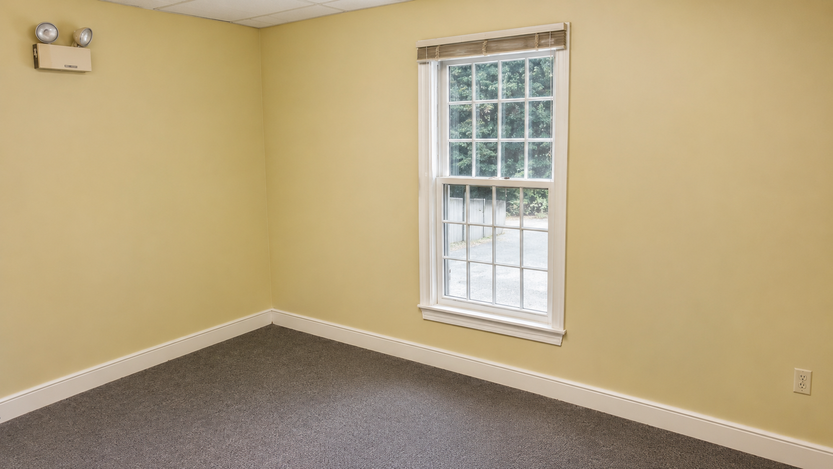 09 Professional Wall Painting