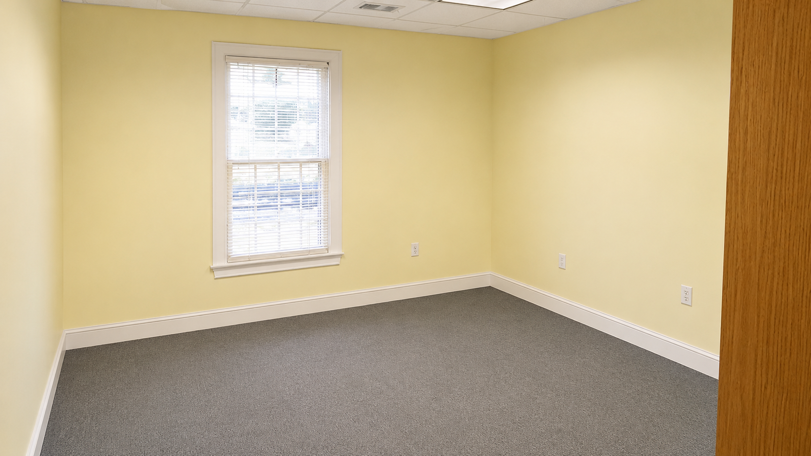 Professional painting services