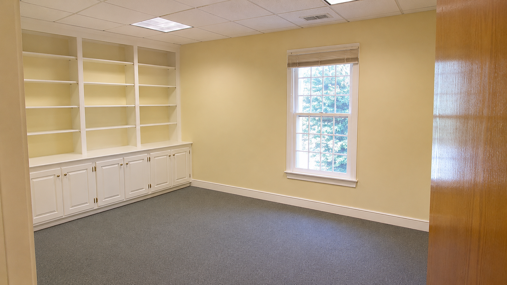 12 Interior Built-in Shelving Painting