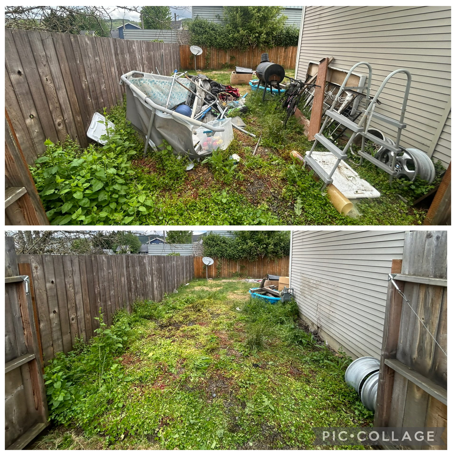 Before and after yard waste removal in Salem OR