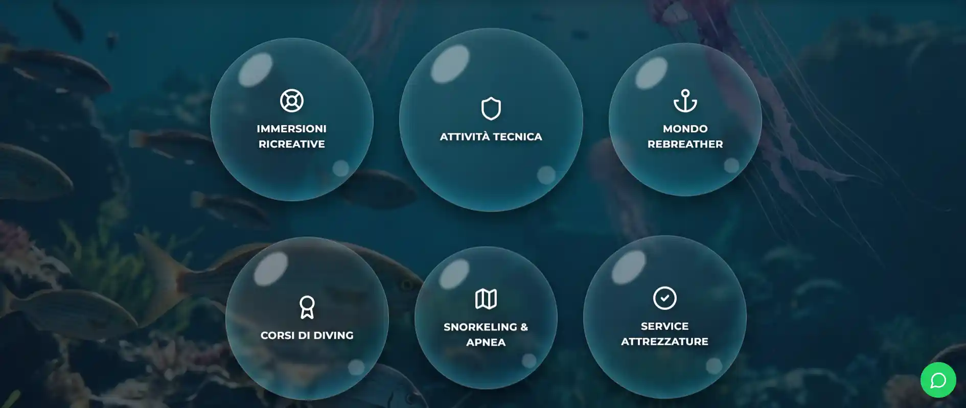 Nautilus TDC - Immagine 2