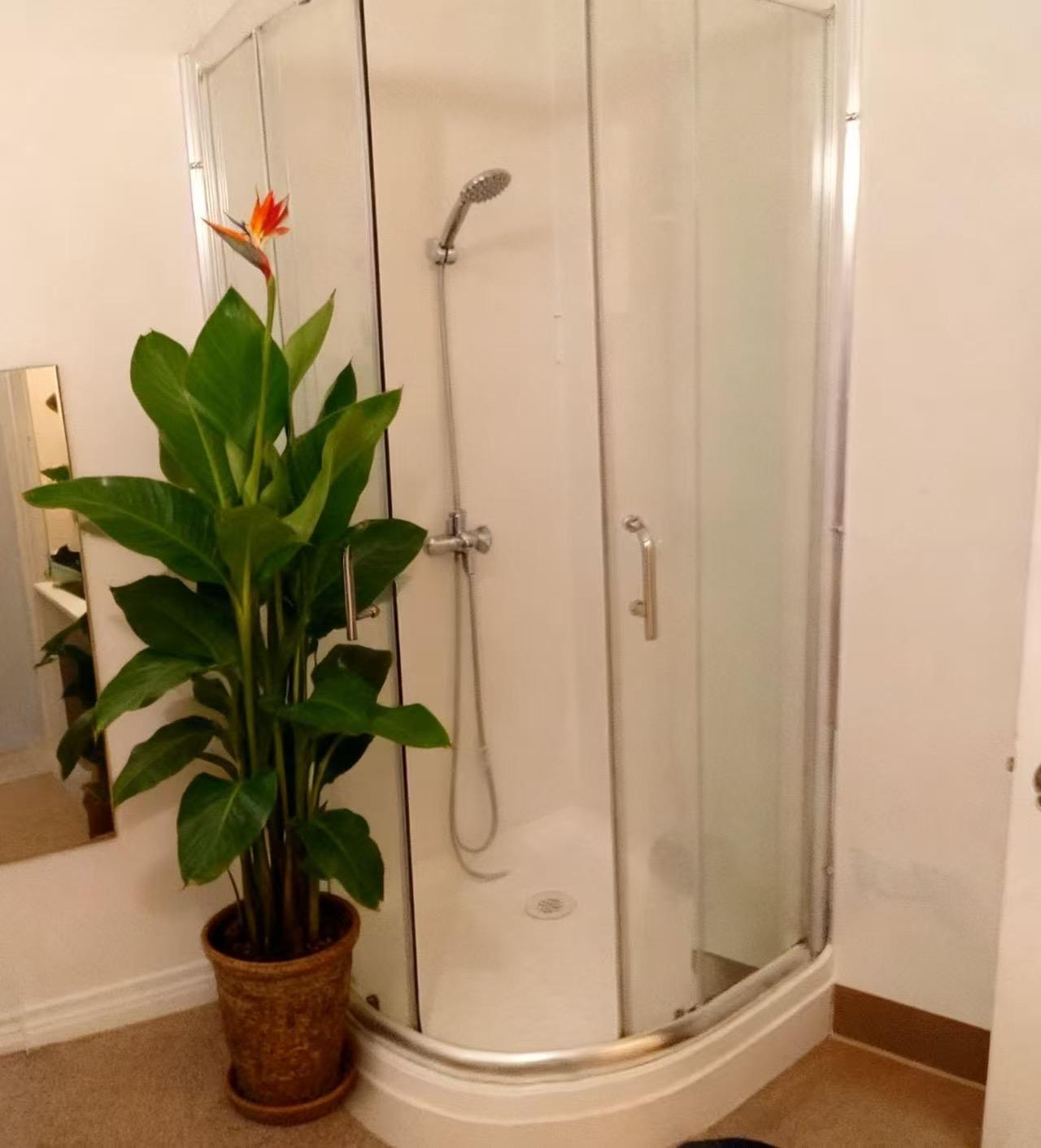 Ellagance Wellness Spa Experience 3