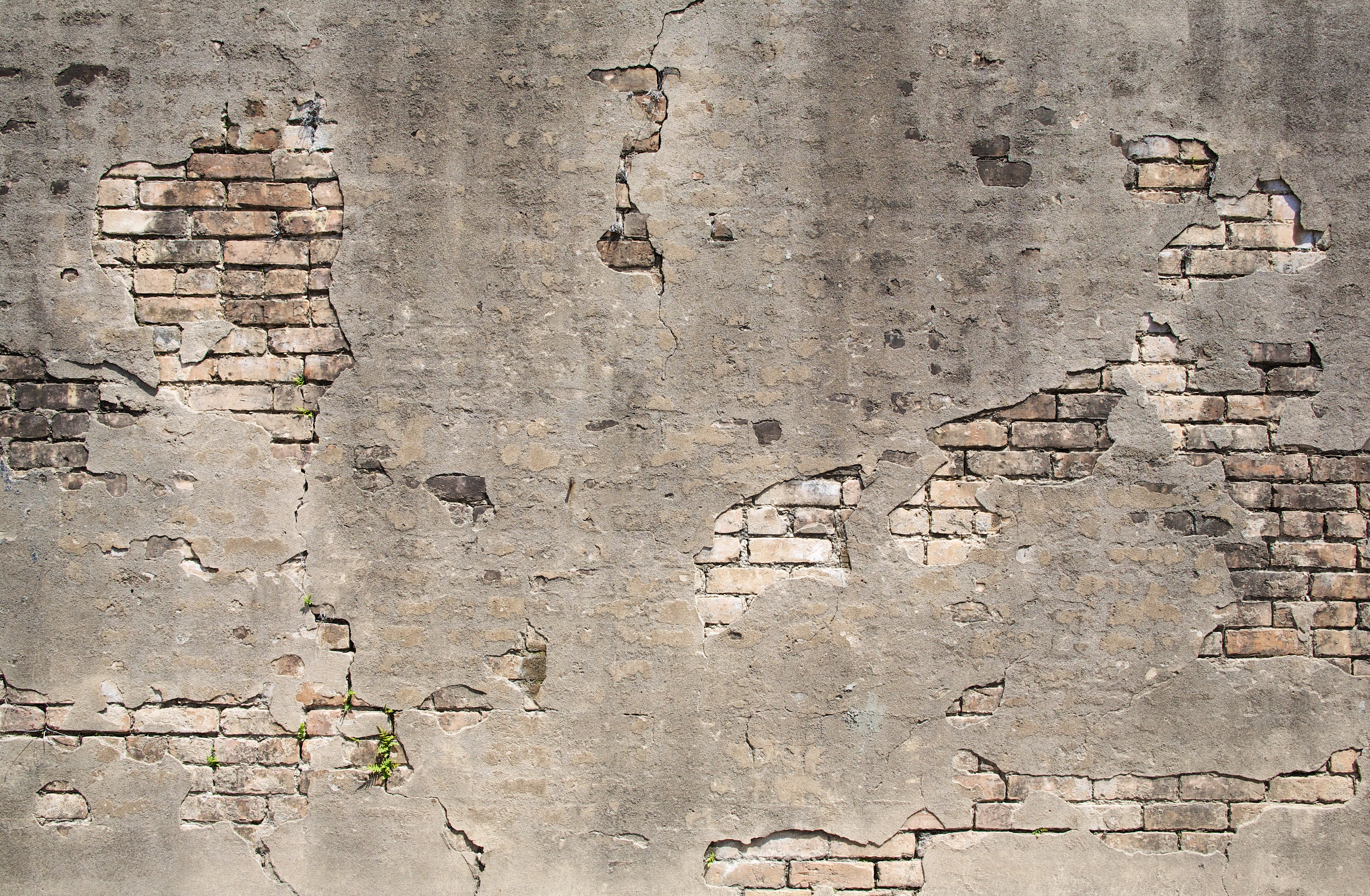 Brick wall background