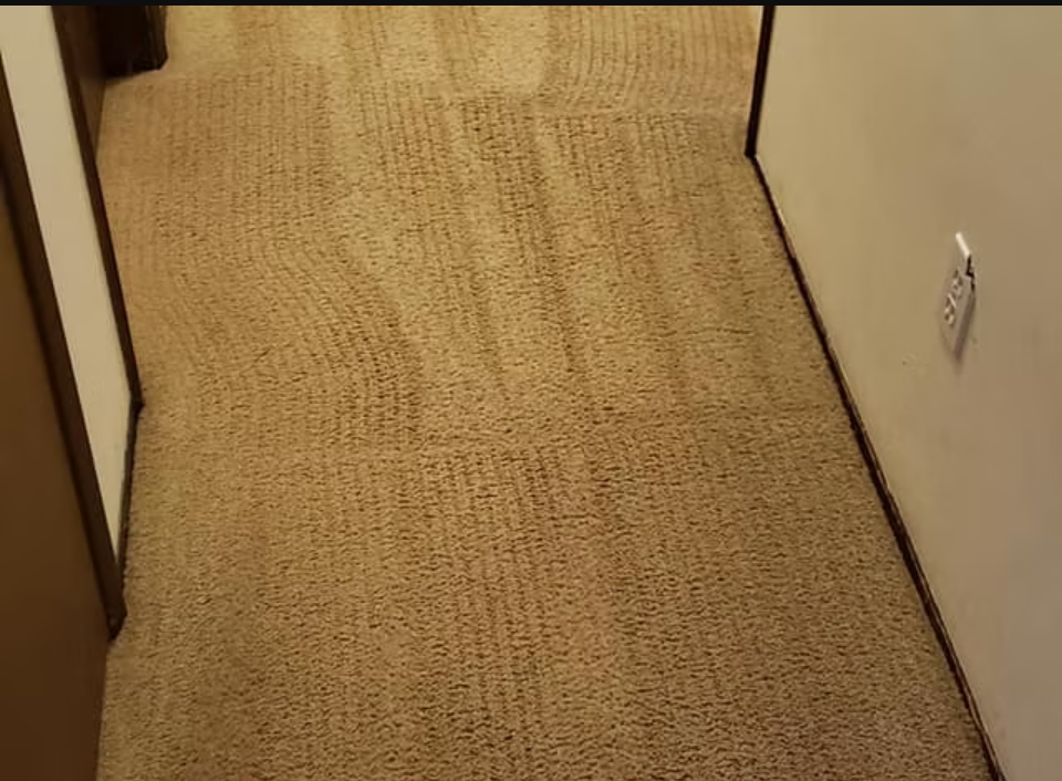 Carpet Cleaning