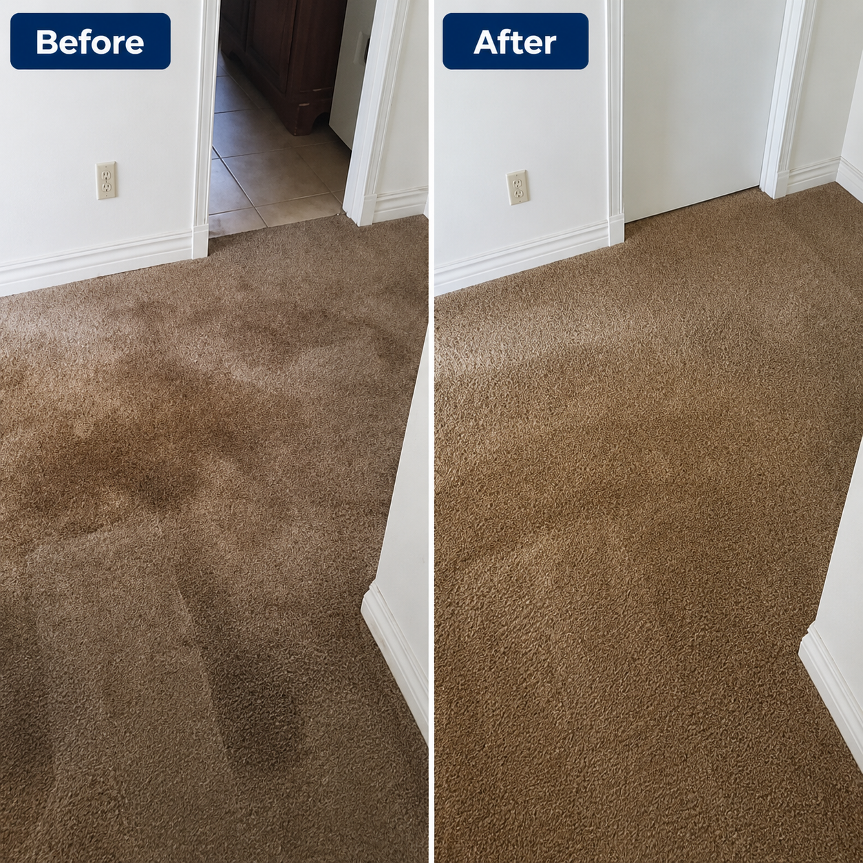 Carpet Deep Cleaning