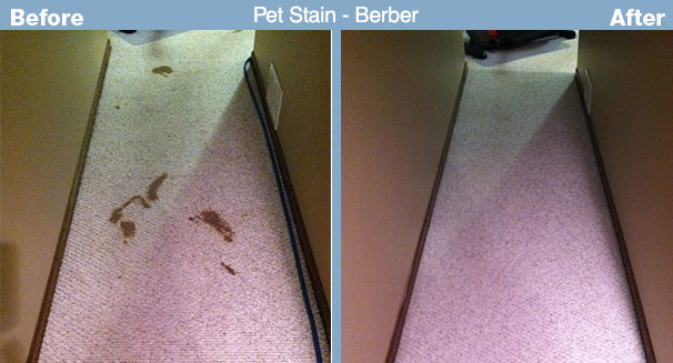 Pet Stain Removal