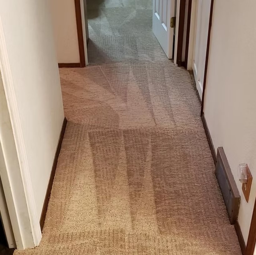 Carpet Cleaning Results