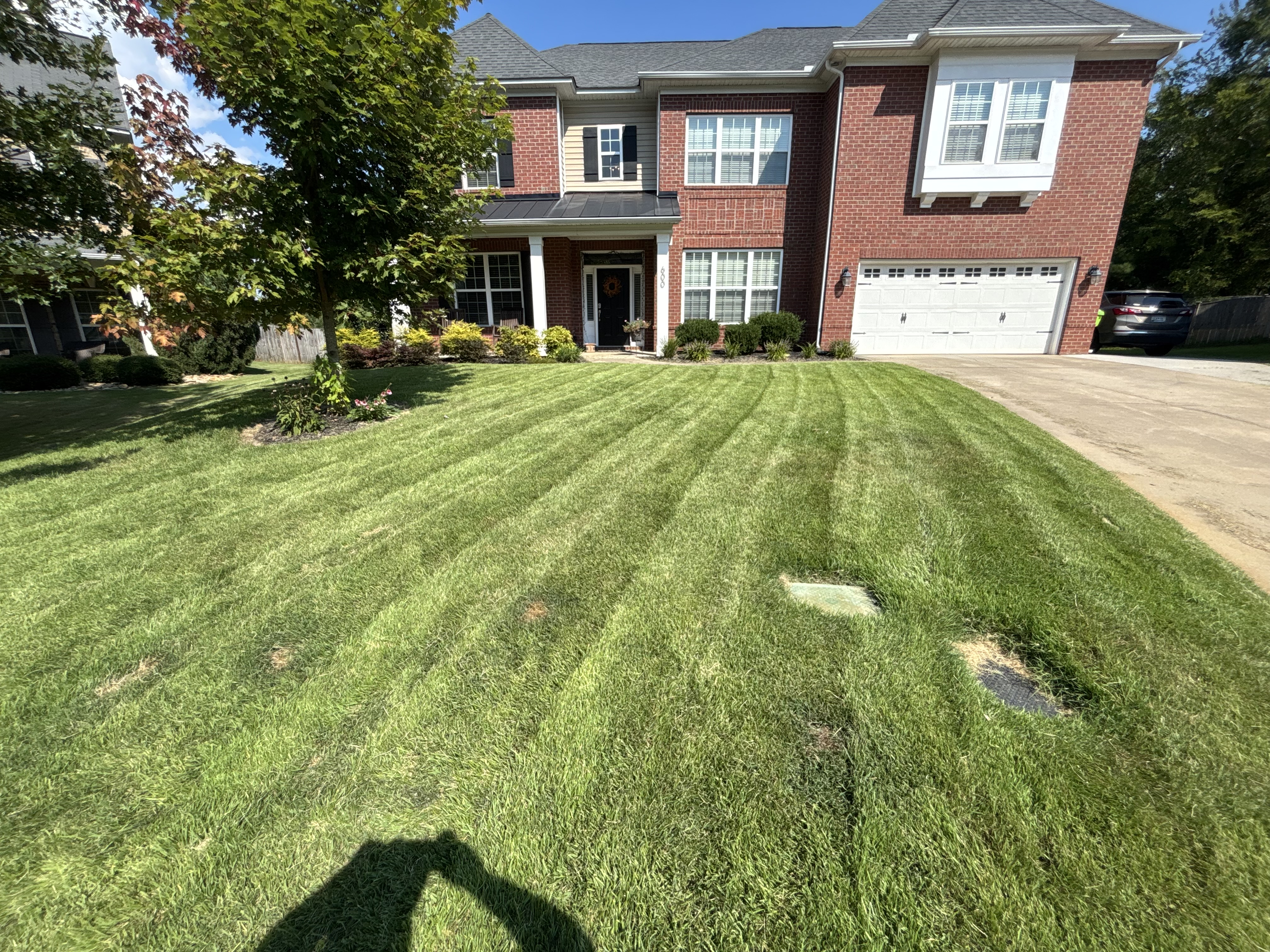 Front Yard Mowing