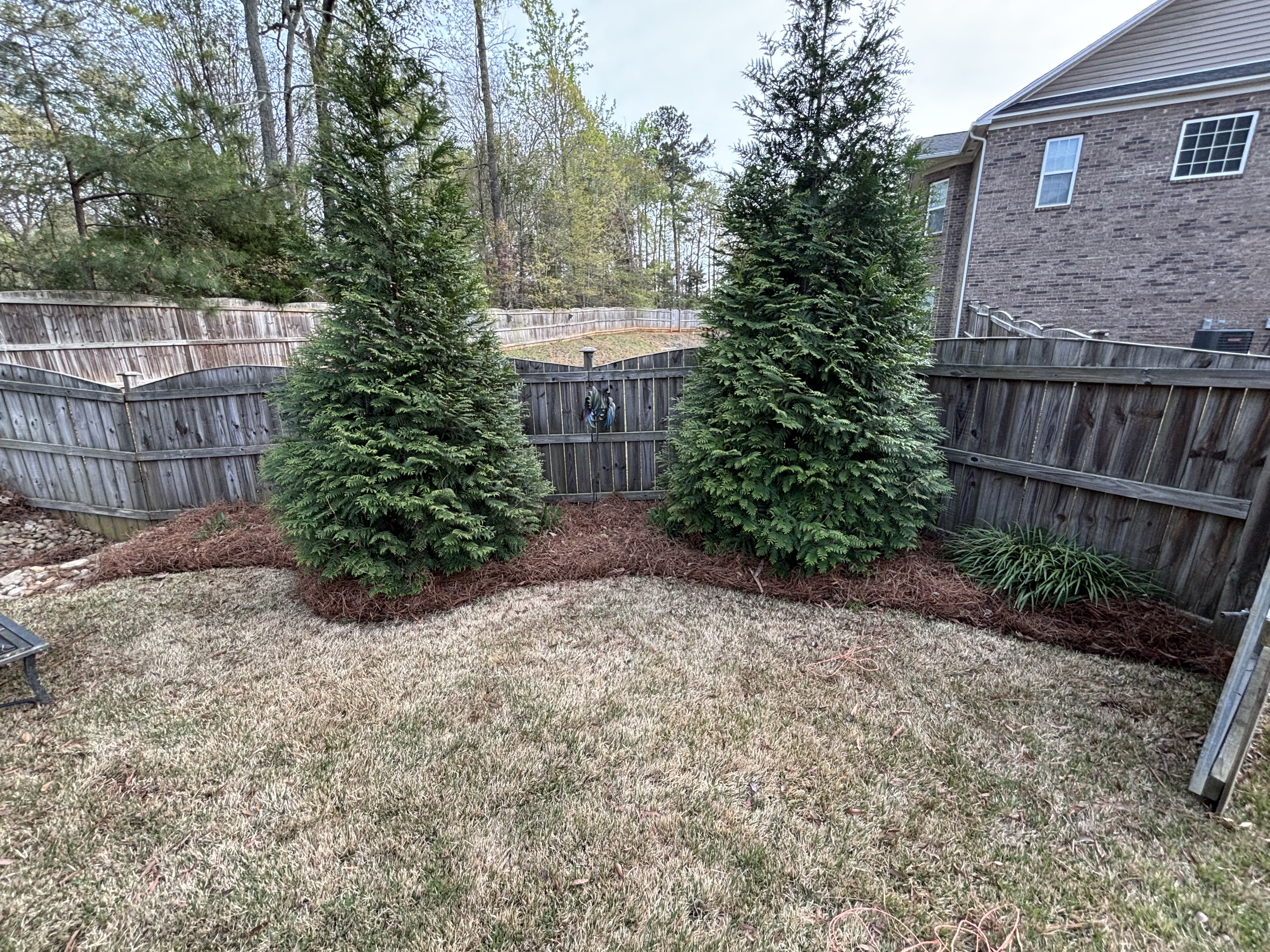 Privacy Tree Installation