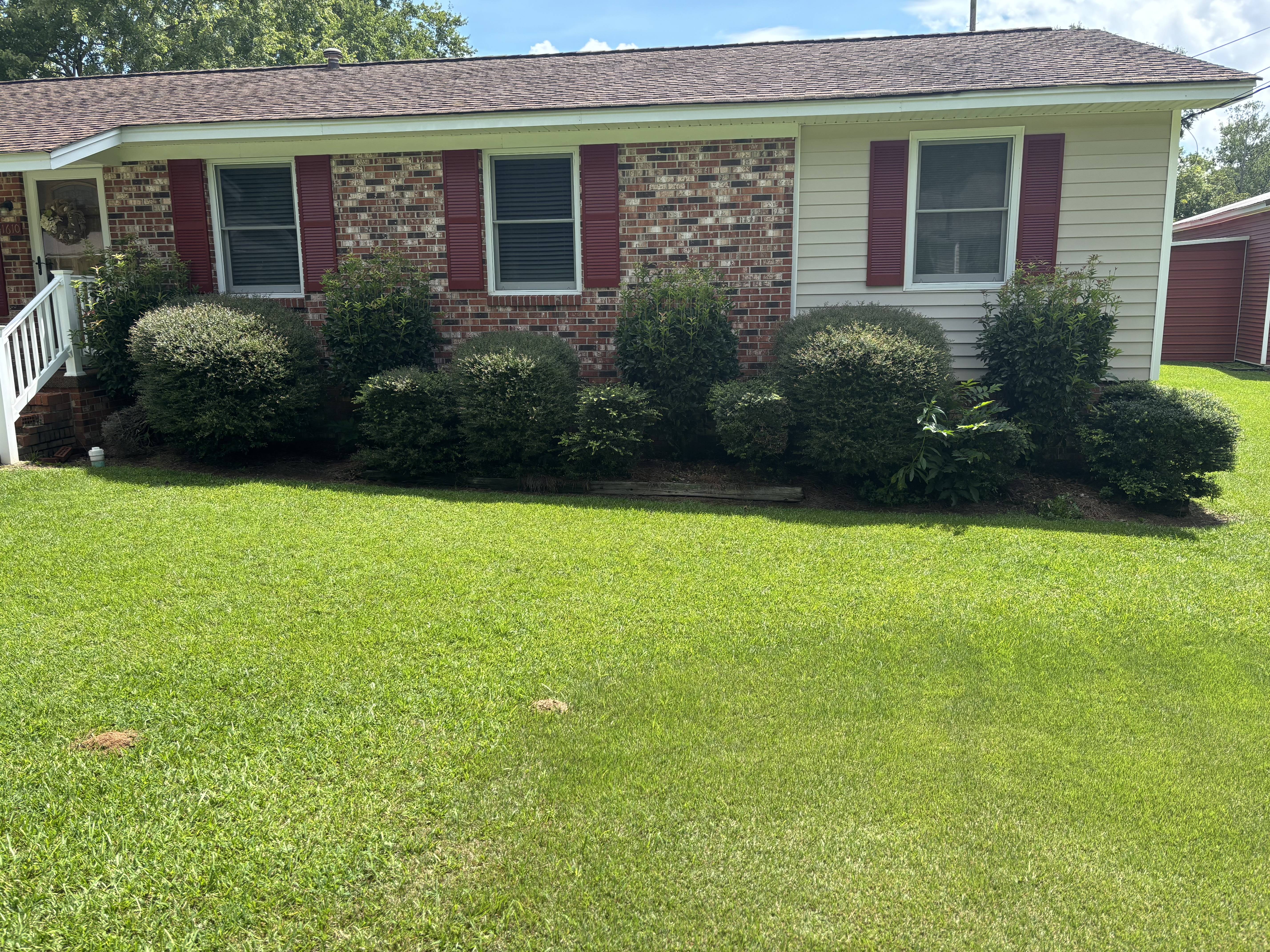 Backyard Lawn Care