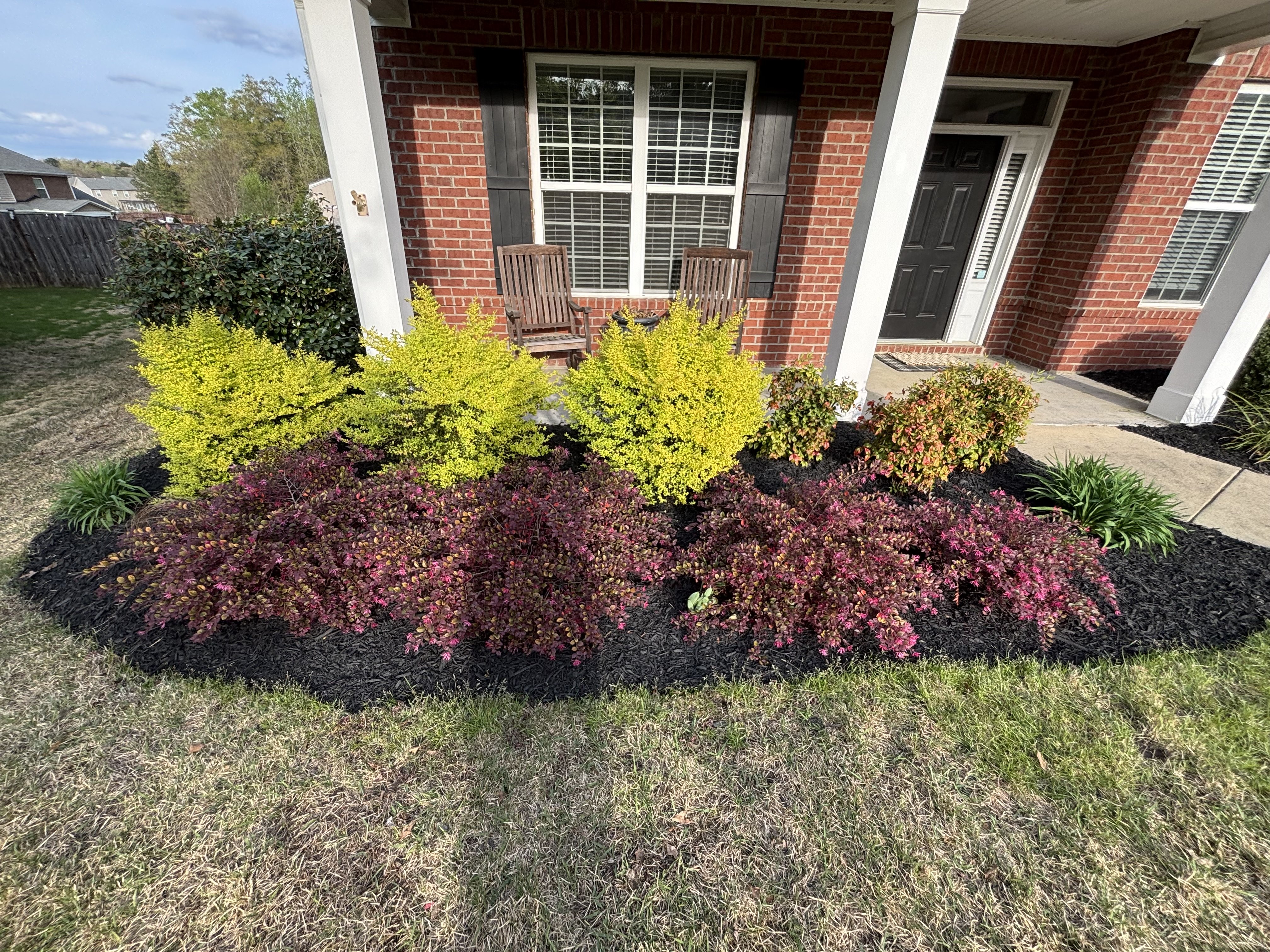 Front Yard Landscaping