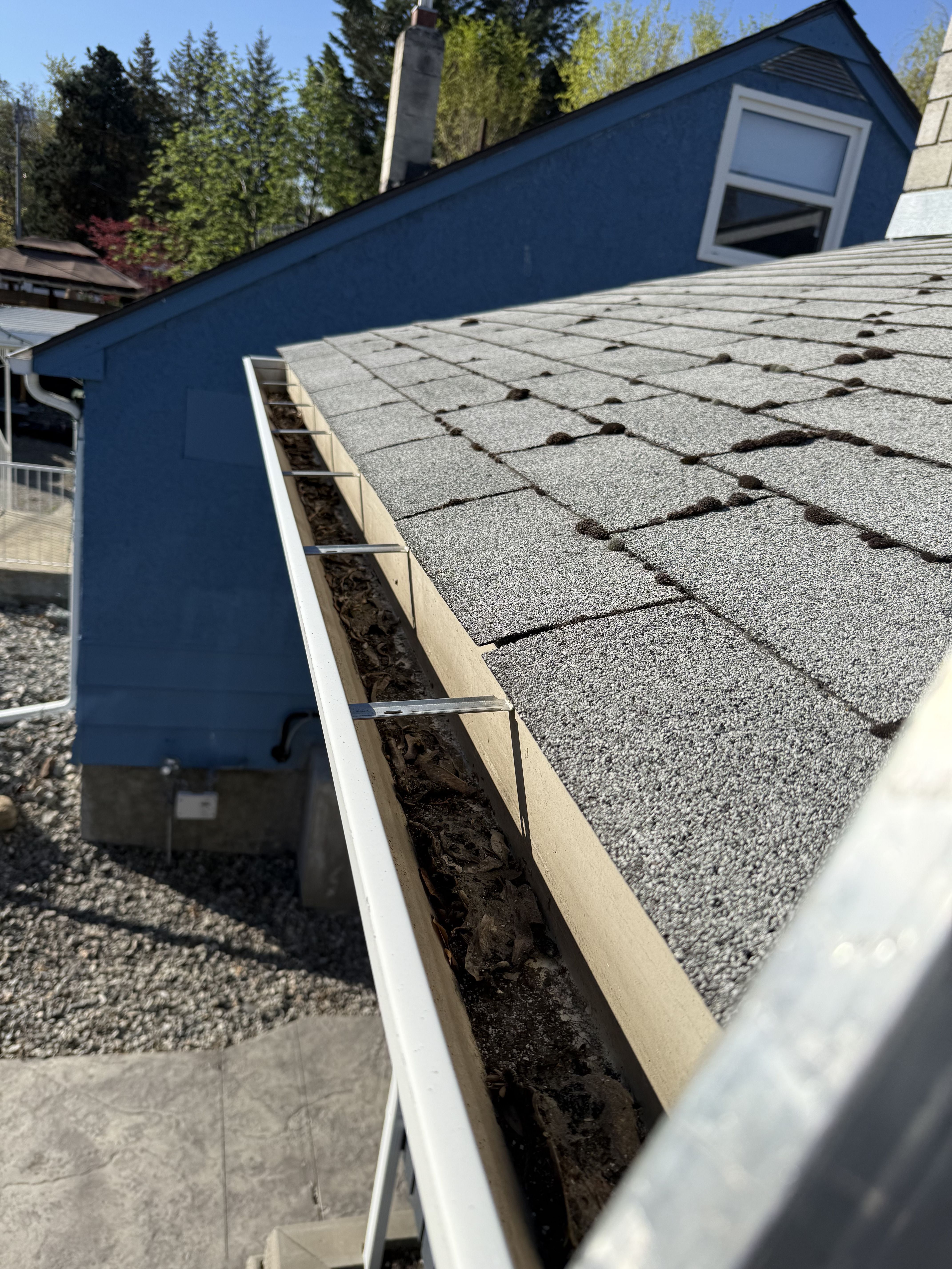 Dirty Gutter Before