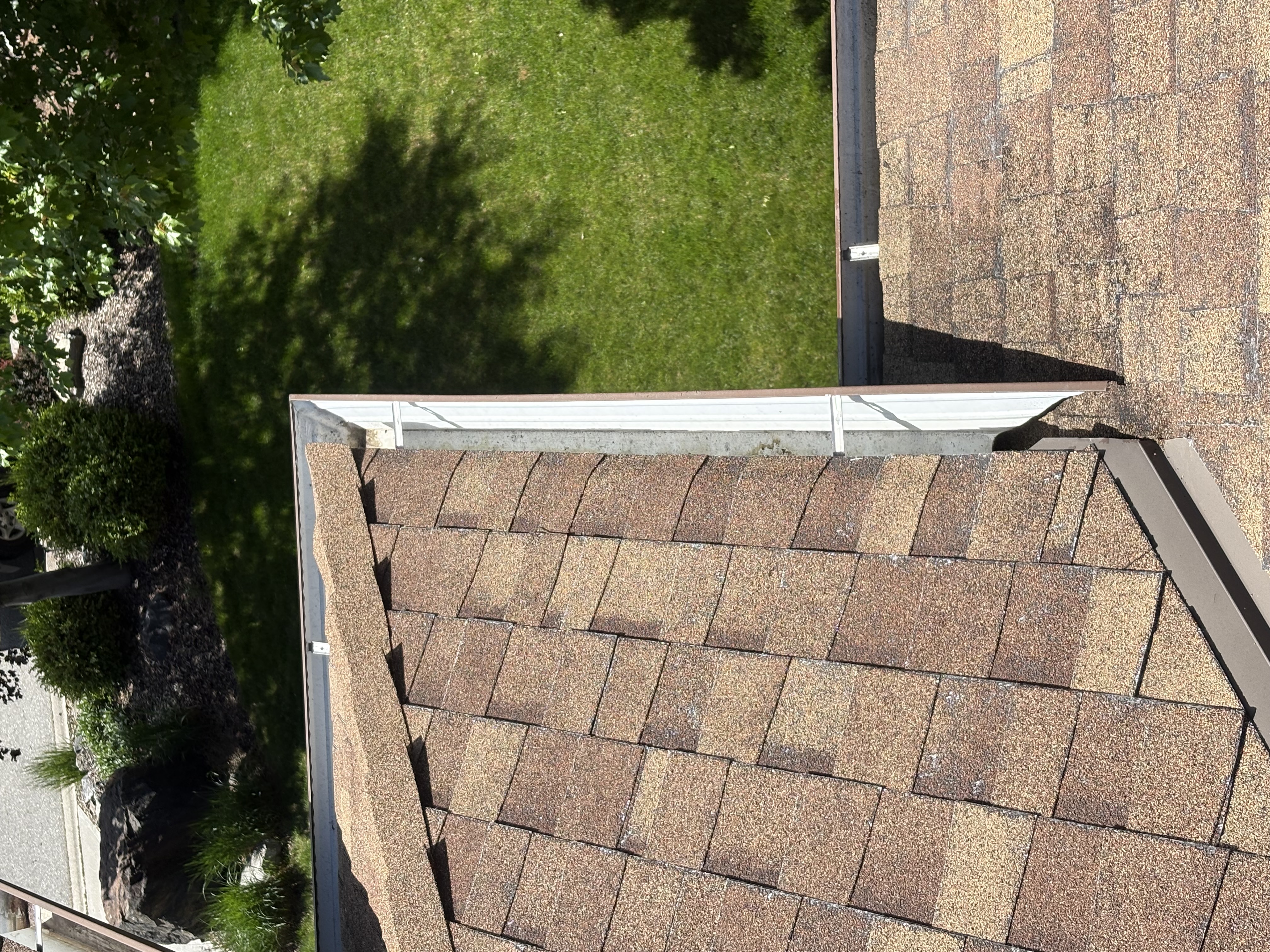 Gutter Cleaning
