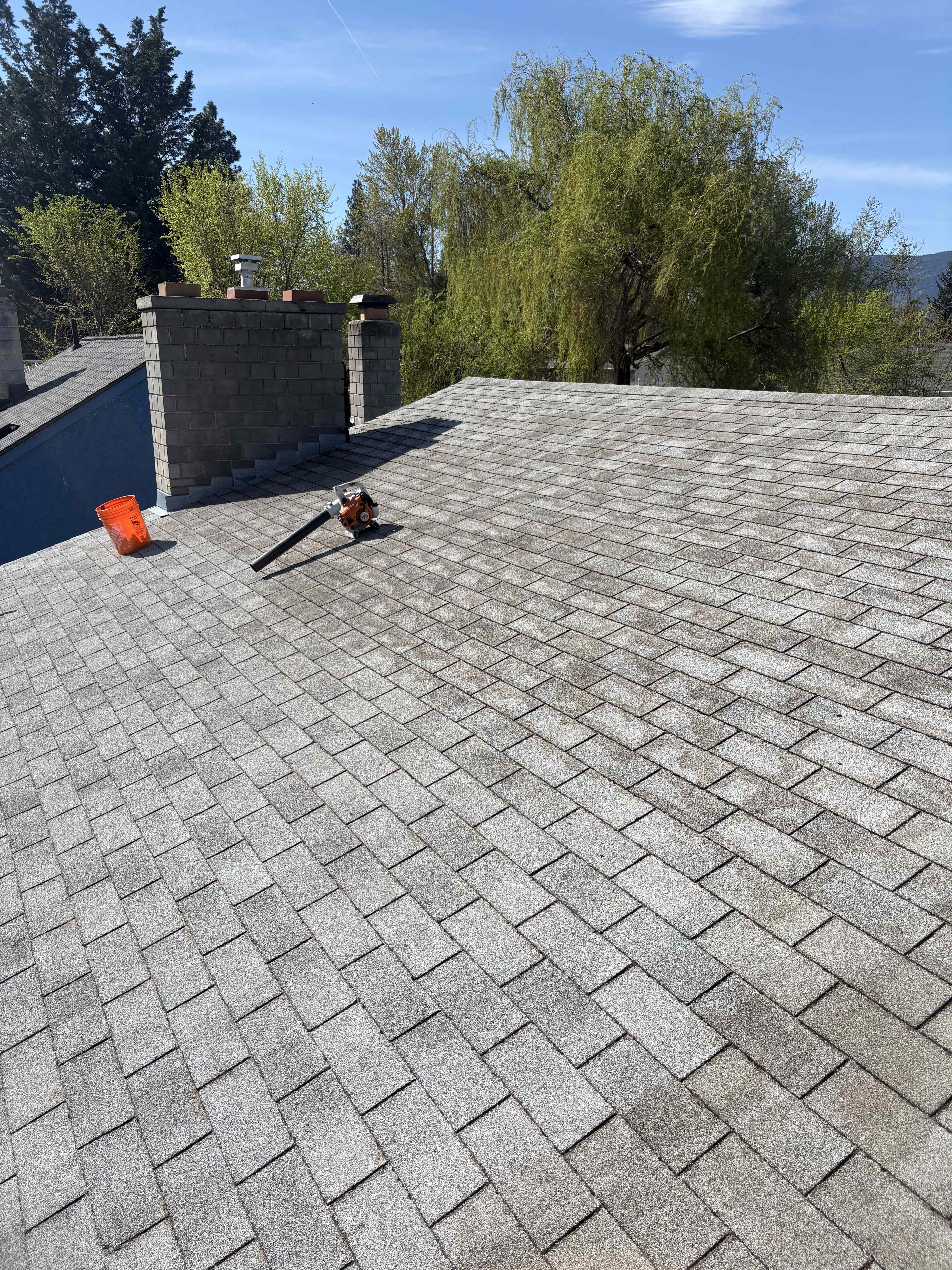 Moss Removal