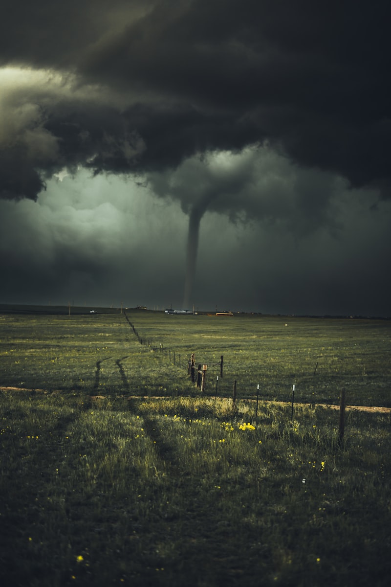 A Homeowner's Guide: Navigating a Roofing Insurance Claim After a Murfreesboro Hailstorm