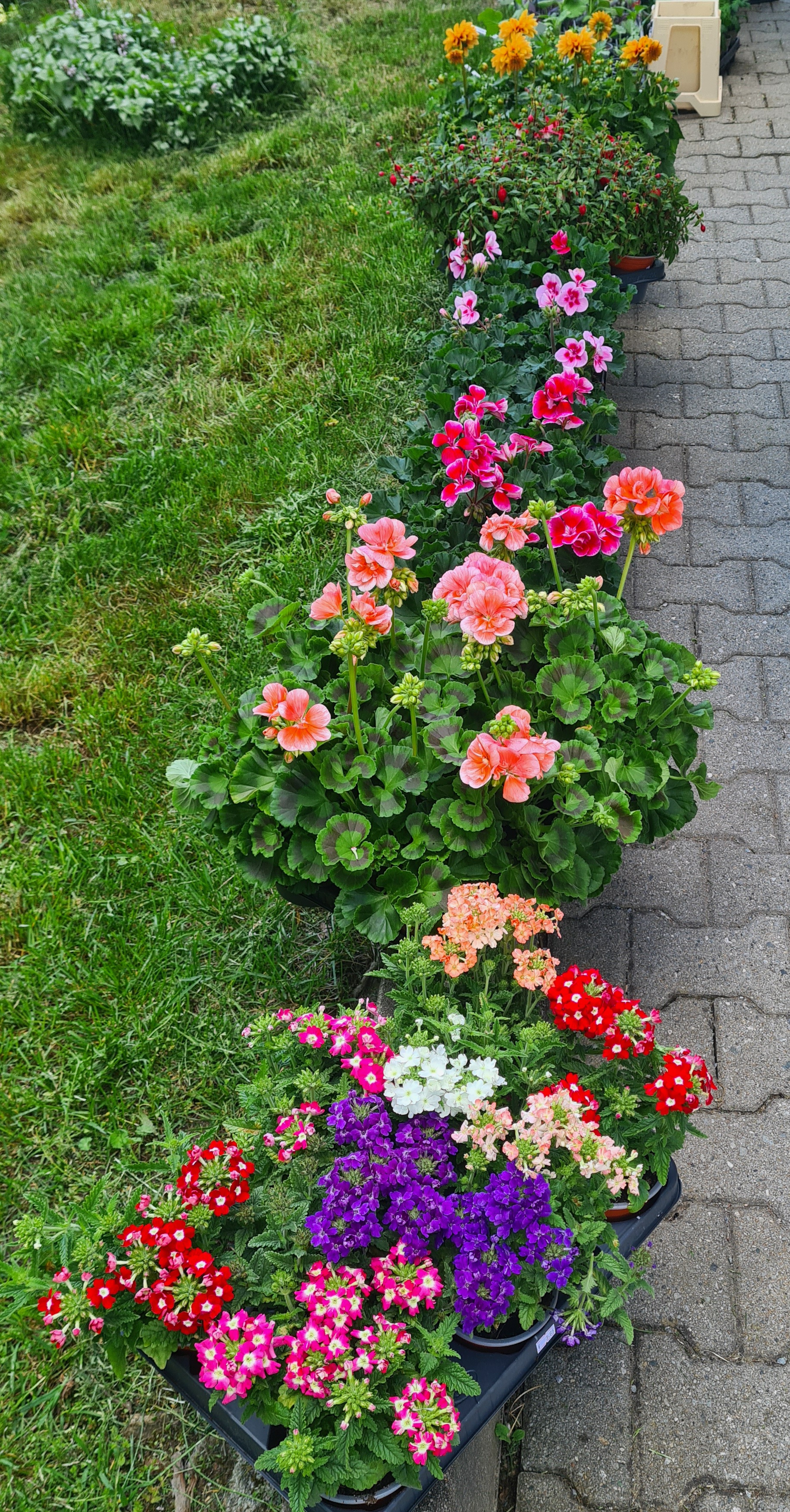 Handgemachte Deko und Inspiration aus Chemnitz