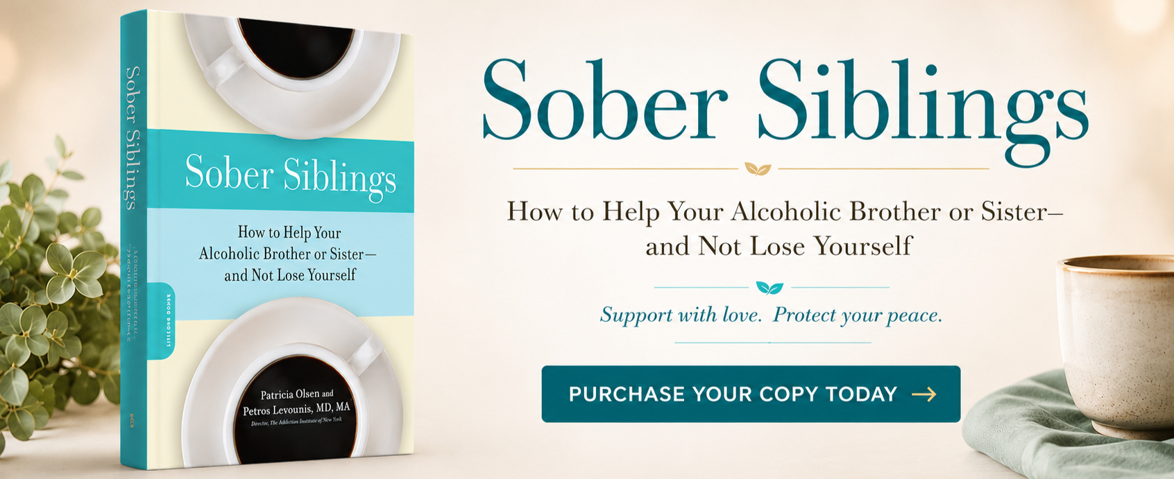 Sober Siblings Book by Patricia Olsen
