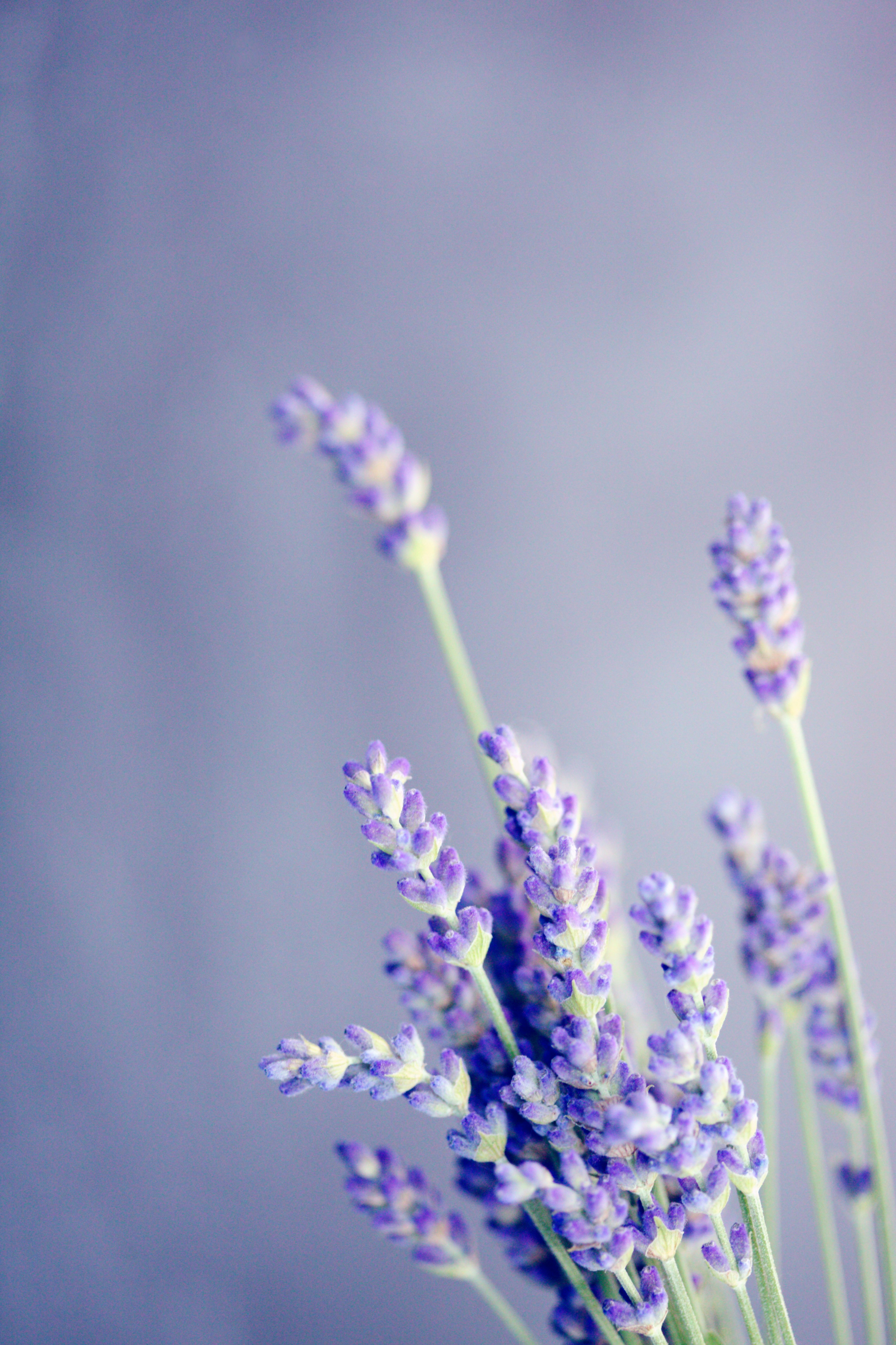 Holistic healing approach
