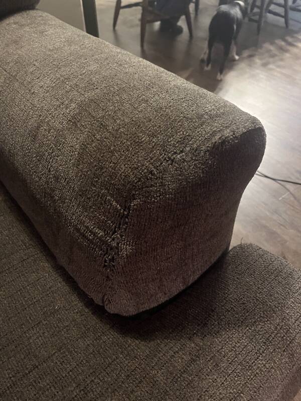 After: Dog-Chewed Sofa Arm Repaired