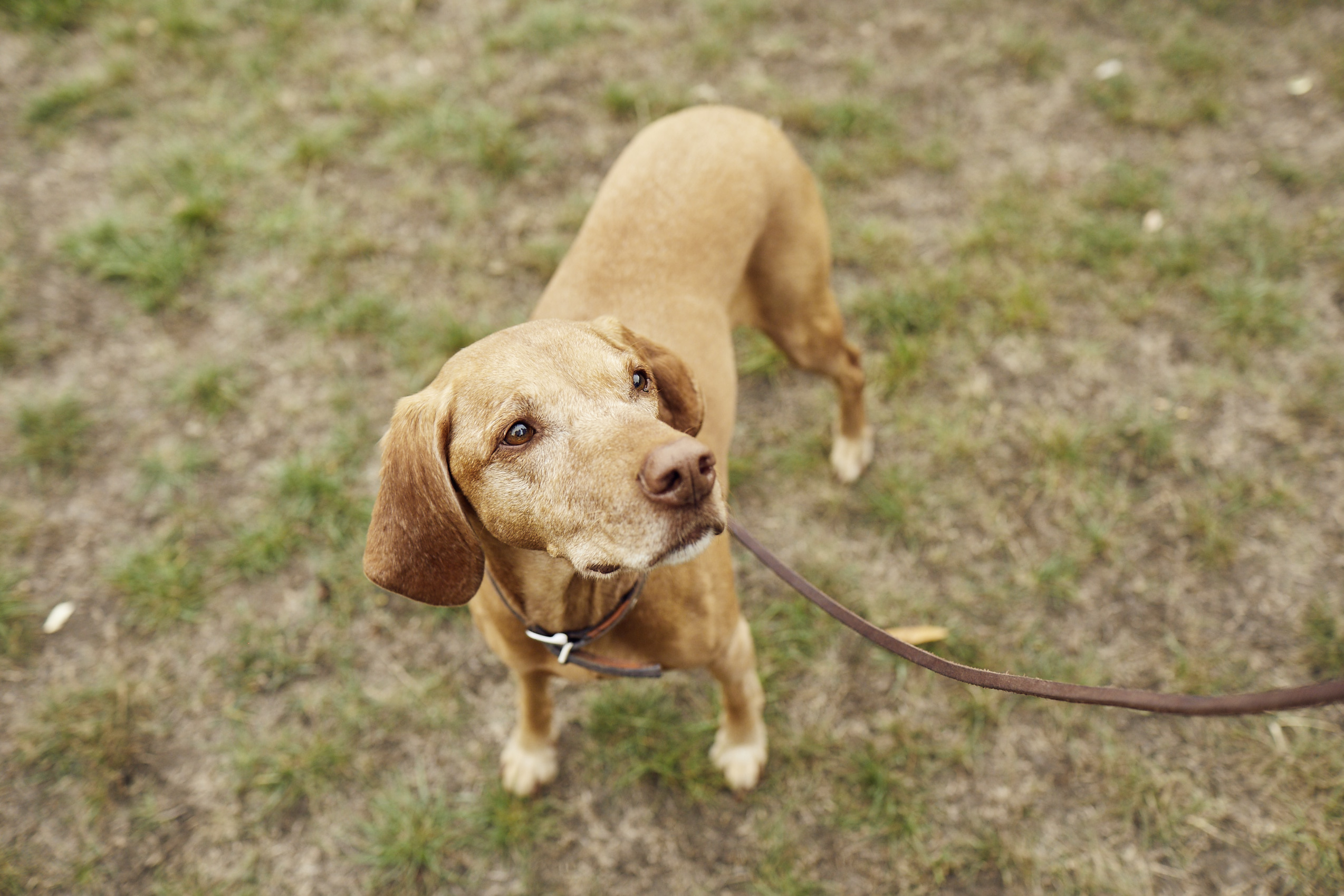 Specials