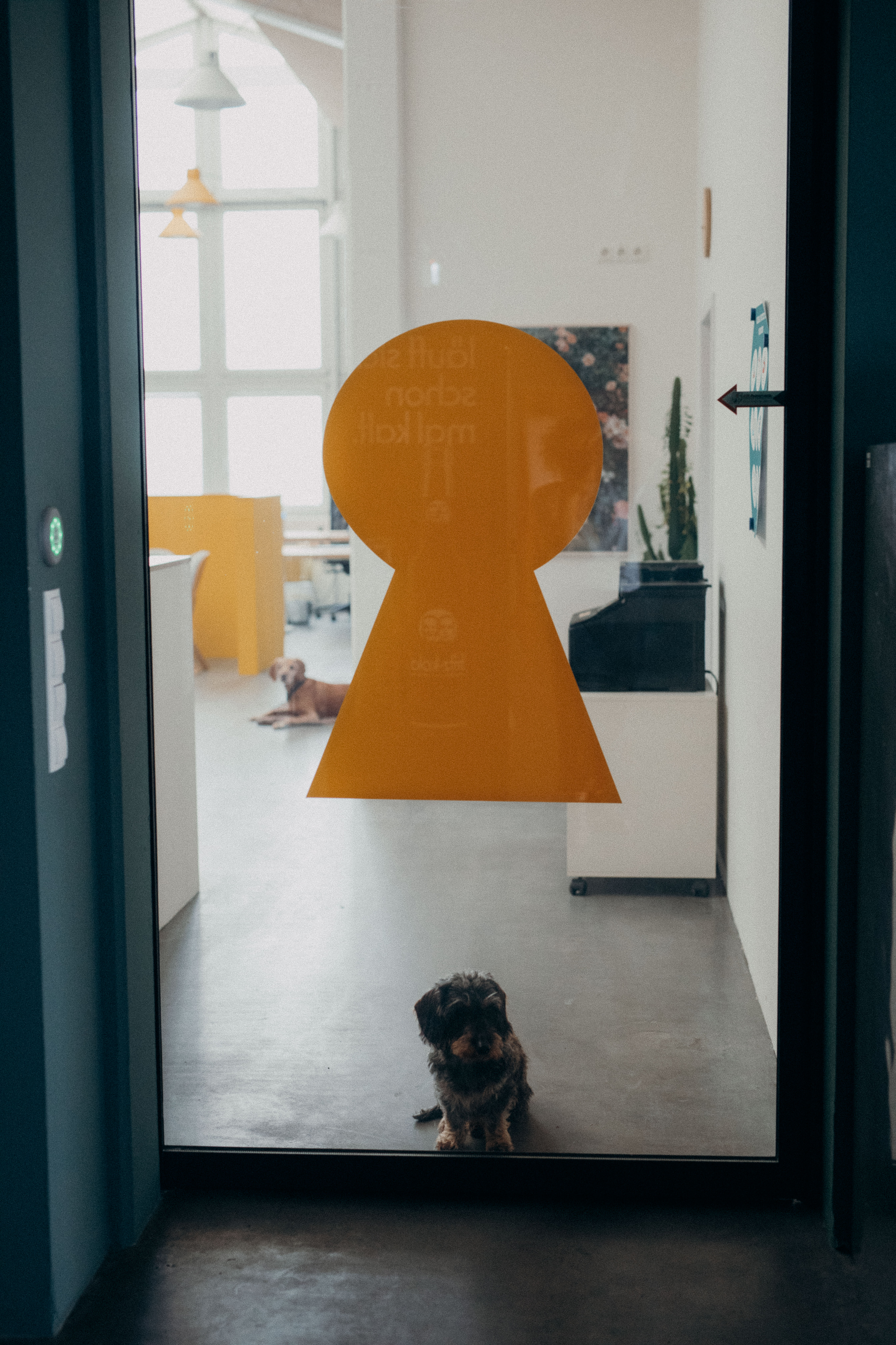 Bürohund Training Hamburg