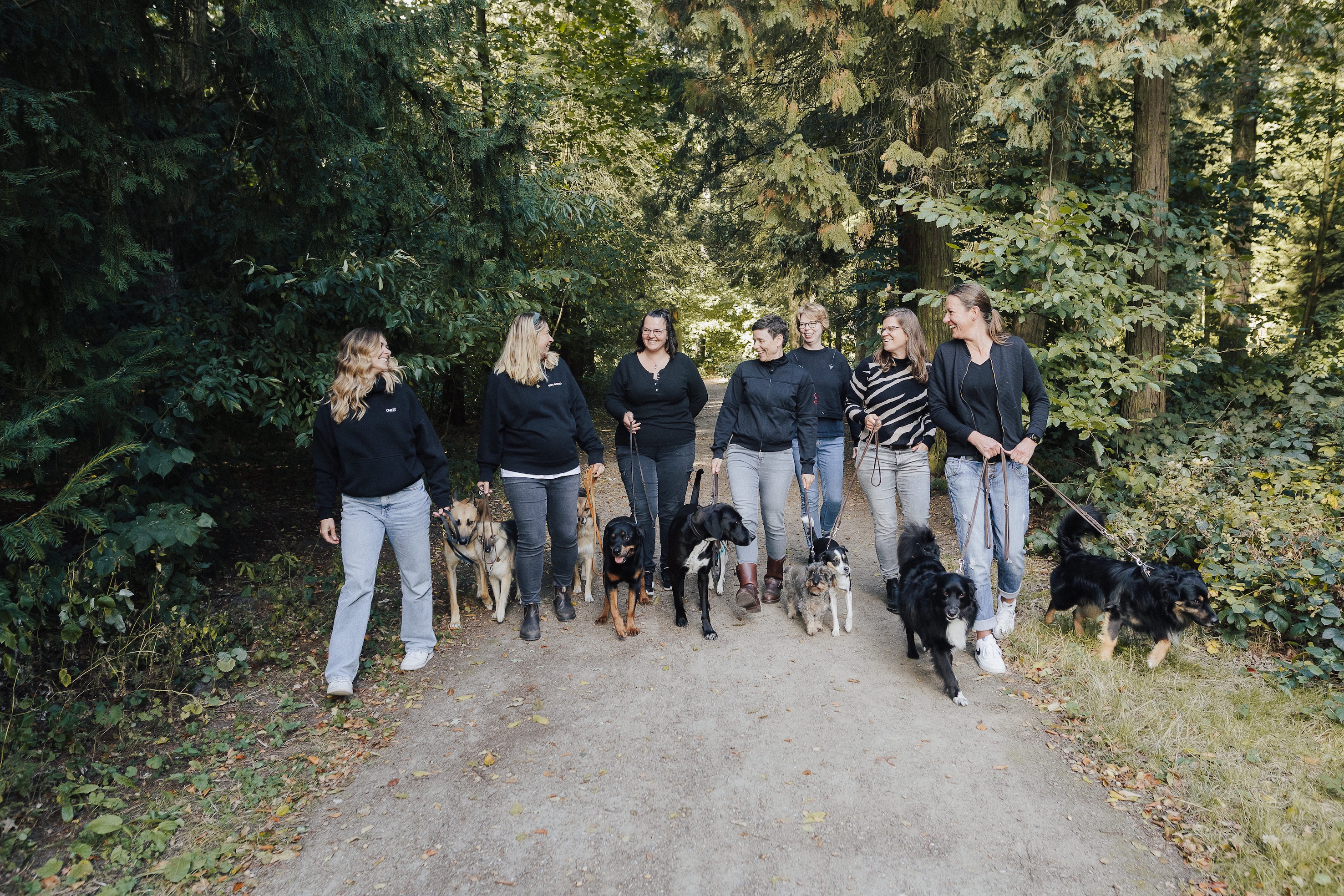 Hansehund Team Hundetrainerinnen Hamburg