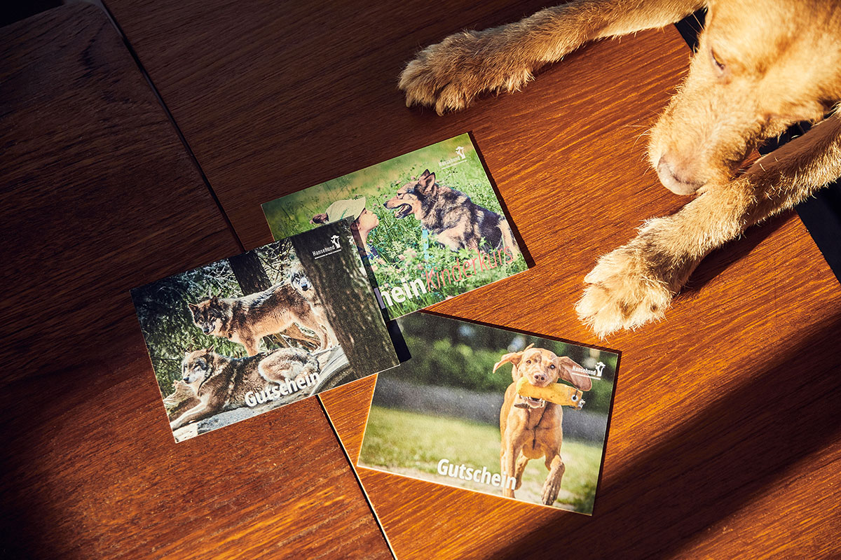 Hansehund Gutschein
