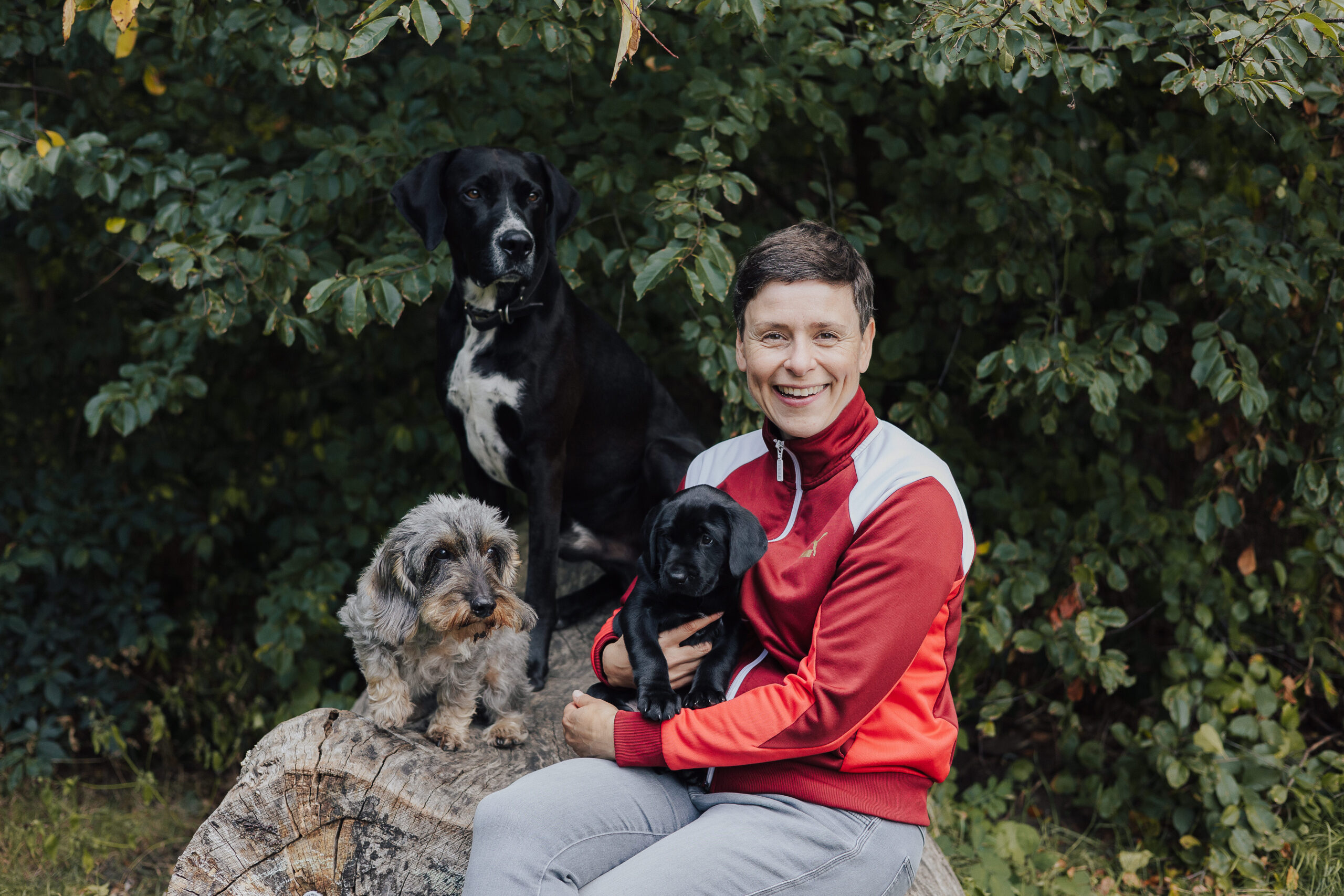 Anne Klose Hansehund
