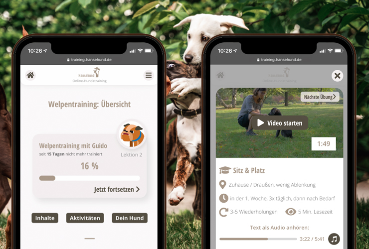 Online-Hundetraining beim Hansehund