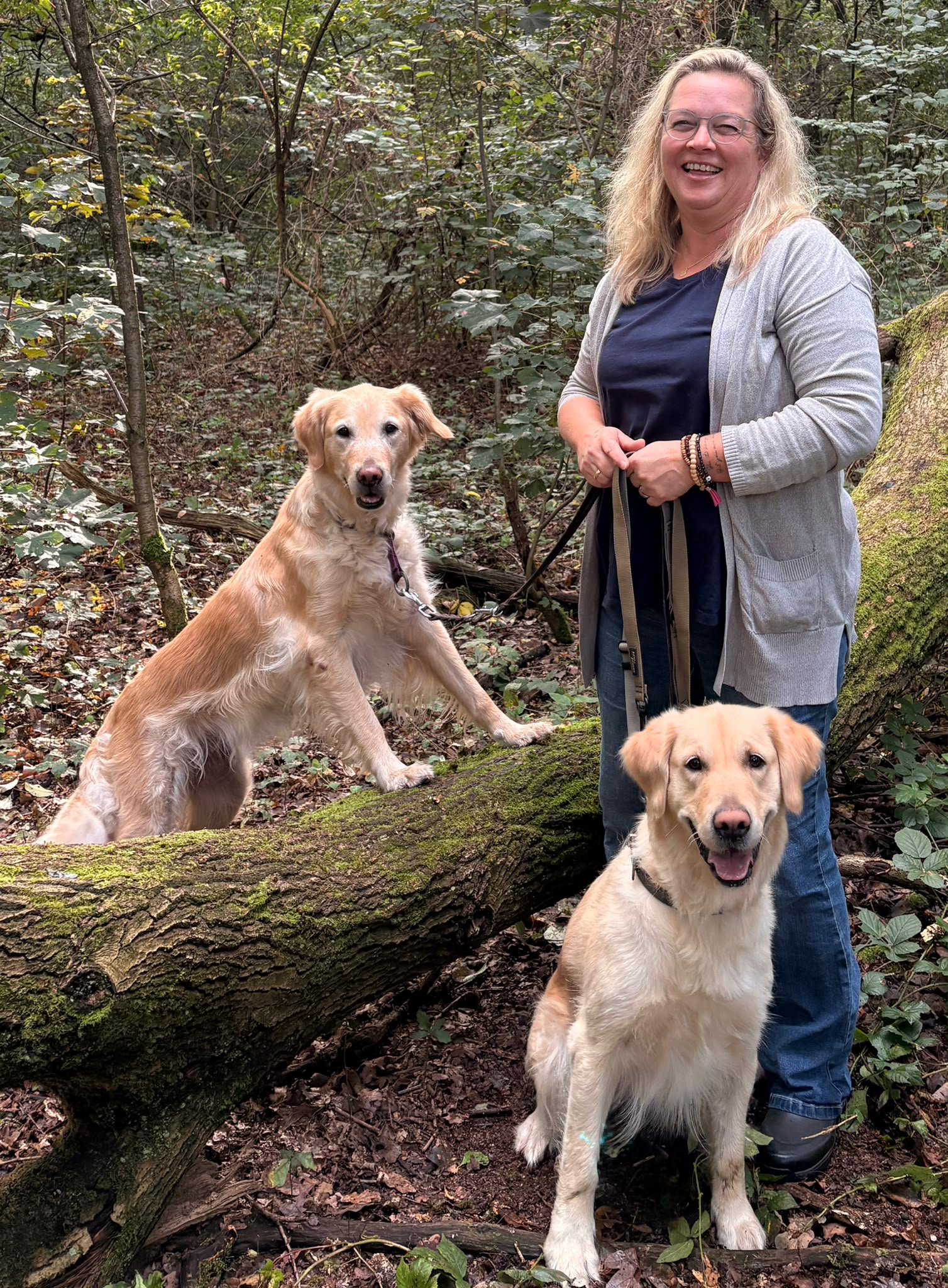 Christina Fritsch Hansehund