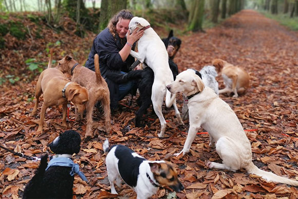 Hundebetreuung