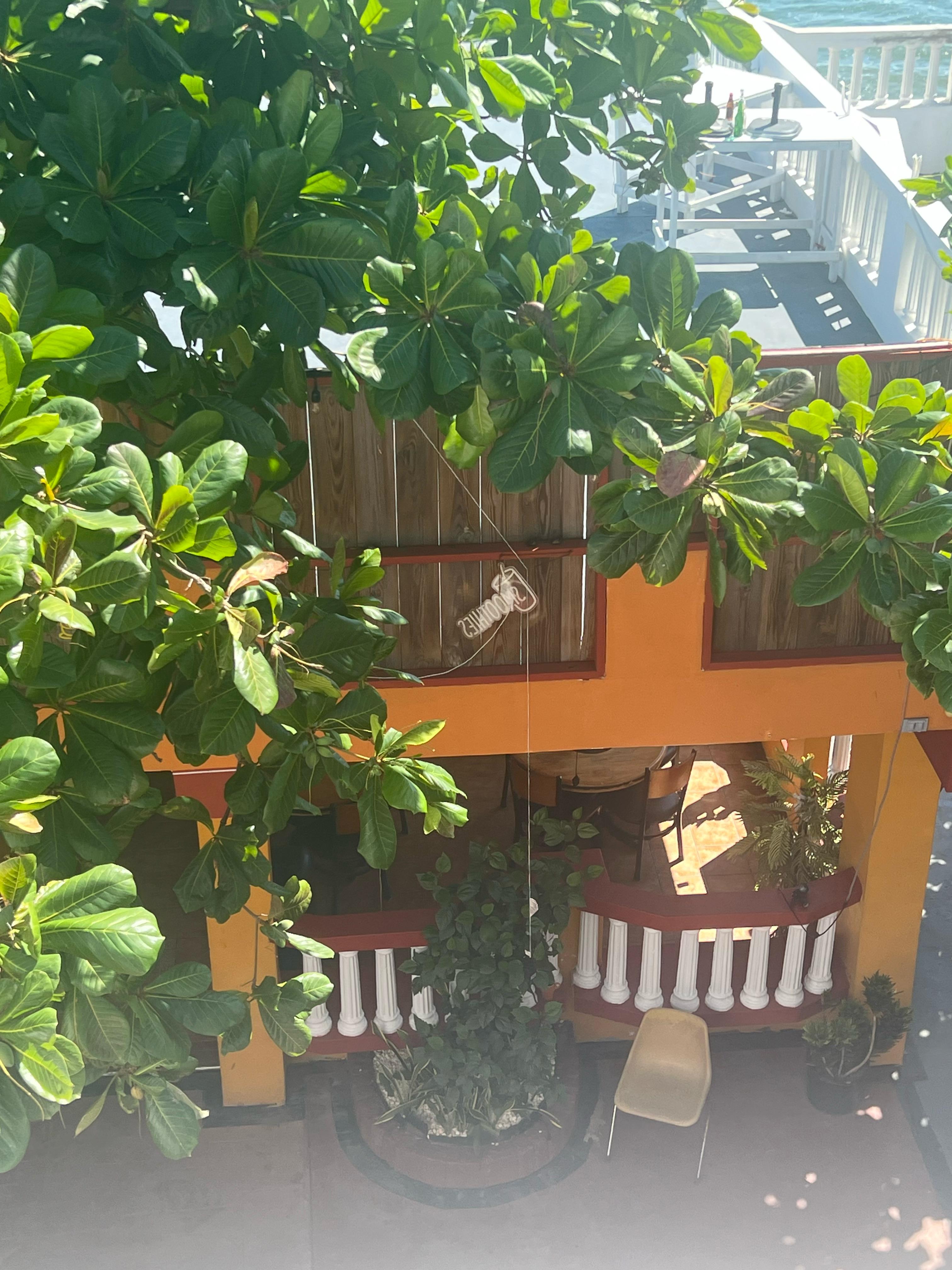 Garden View from Above