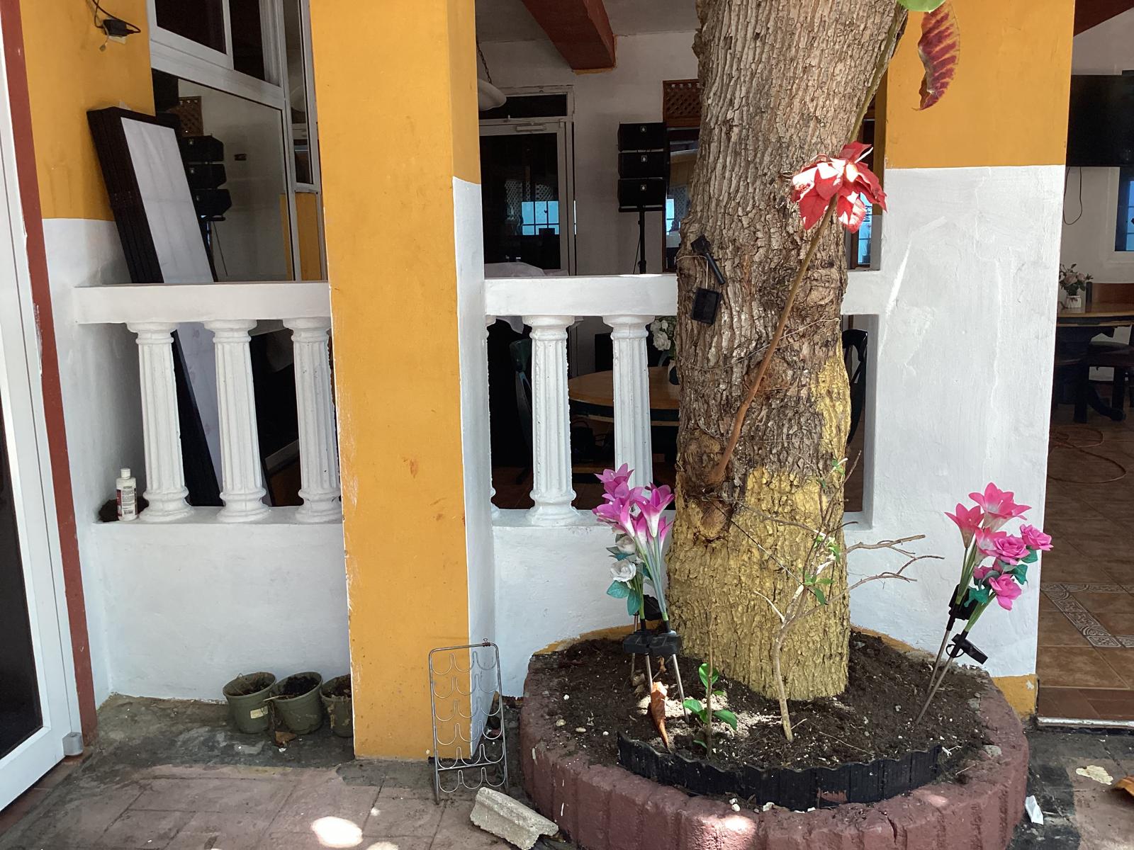 Tree Planter