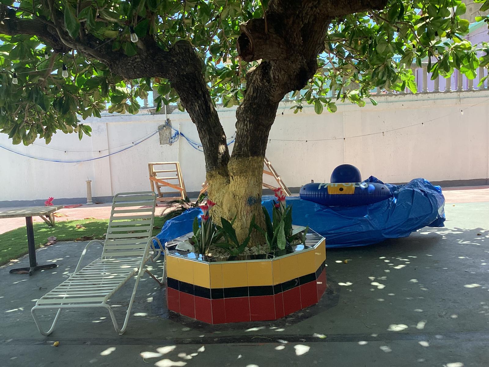 Tree Lounge Area