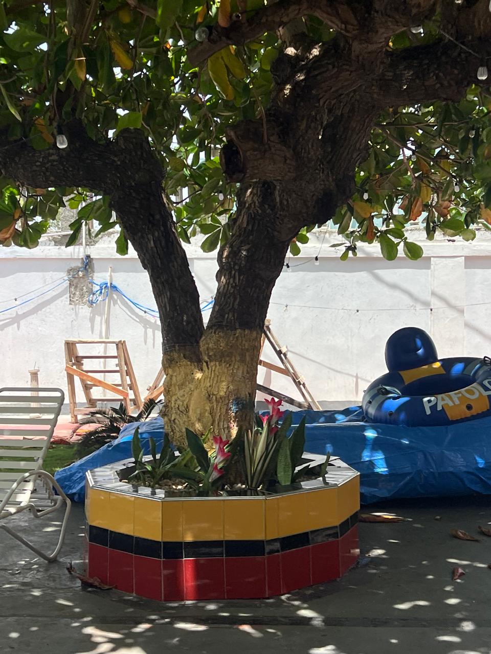 Garden Tree at Gempie's Gazebo