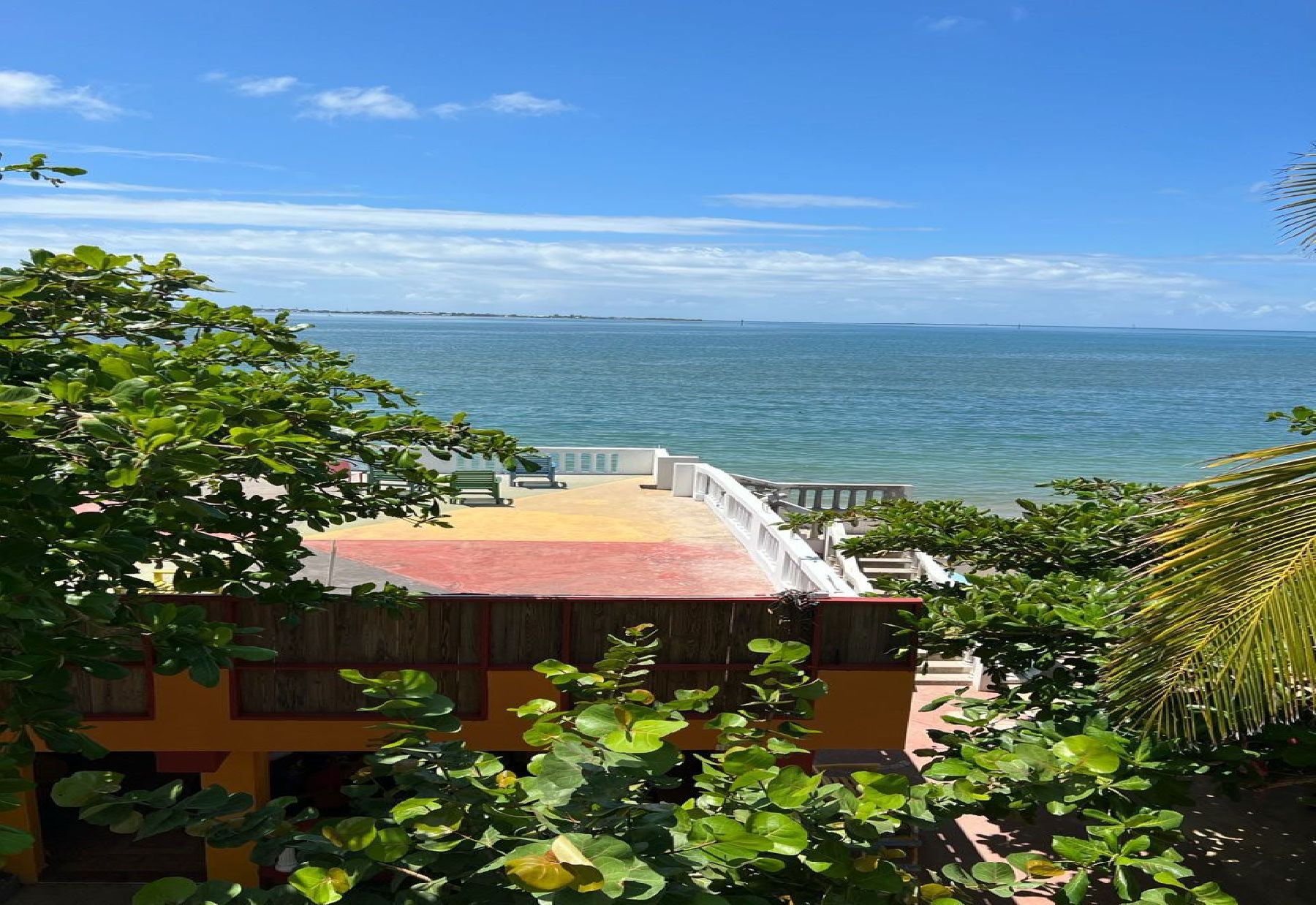 Lush Oceanfront Terrace View