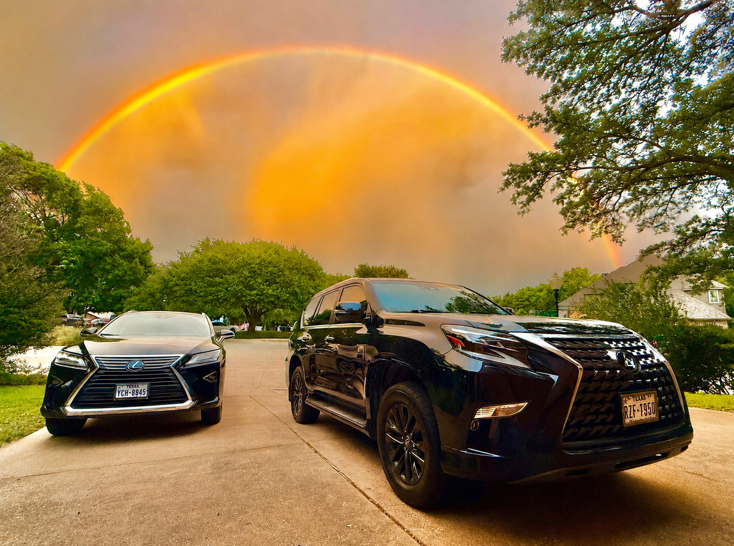 Lexus Ranbow Colour Reacher Rides — Luxury Airport Transportation