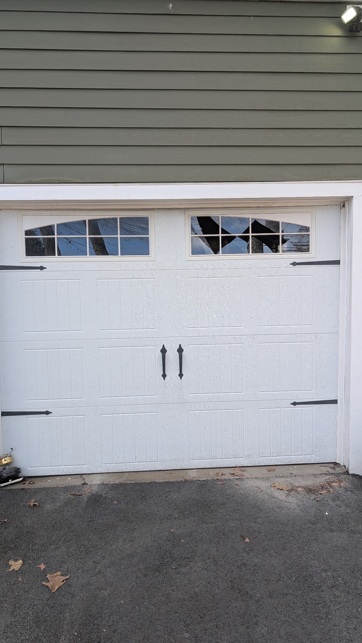 Completed garage door project 1
