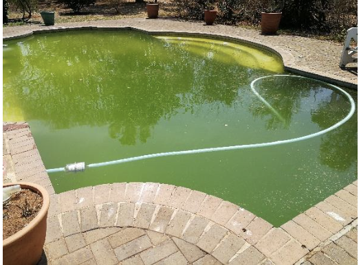 Green to Blue Pool Recovery