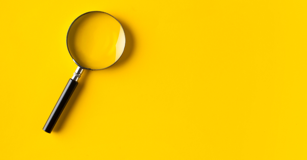 Audit and Assurance Services: What Does Your Business Need?