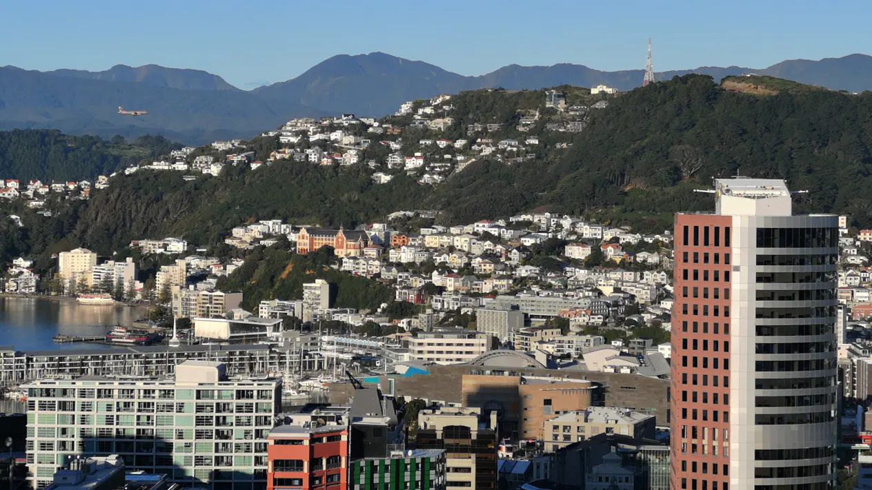 Wellington cityscape