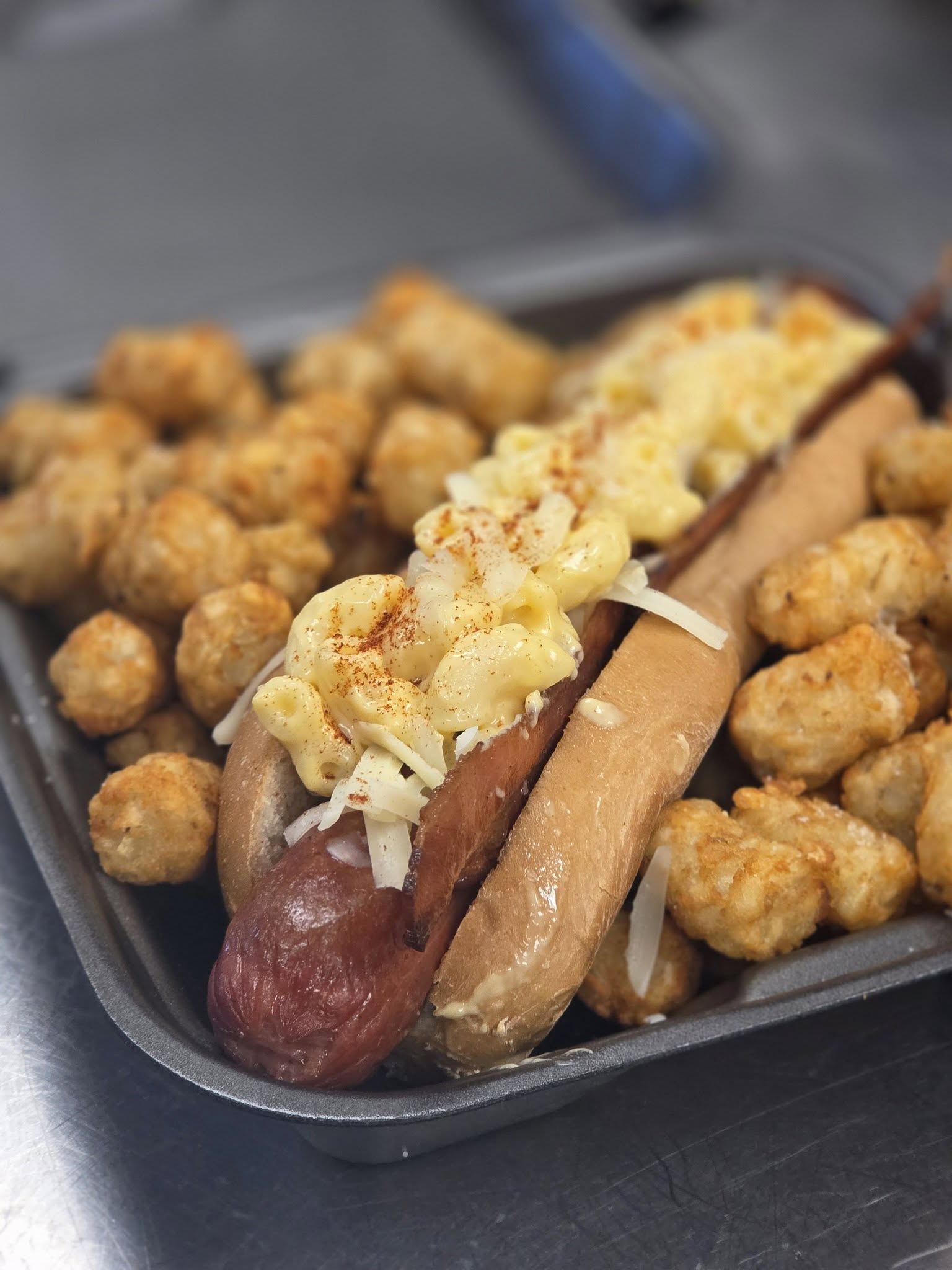 Mac Daddy Dog of the Week
