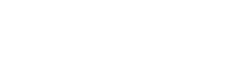 FlowWise Business System
