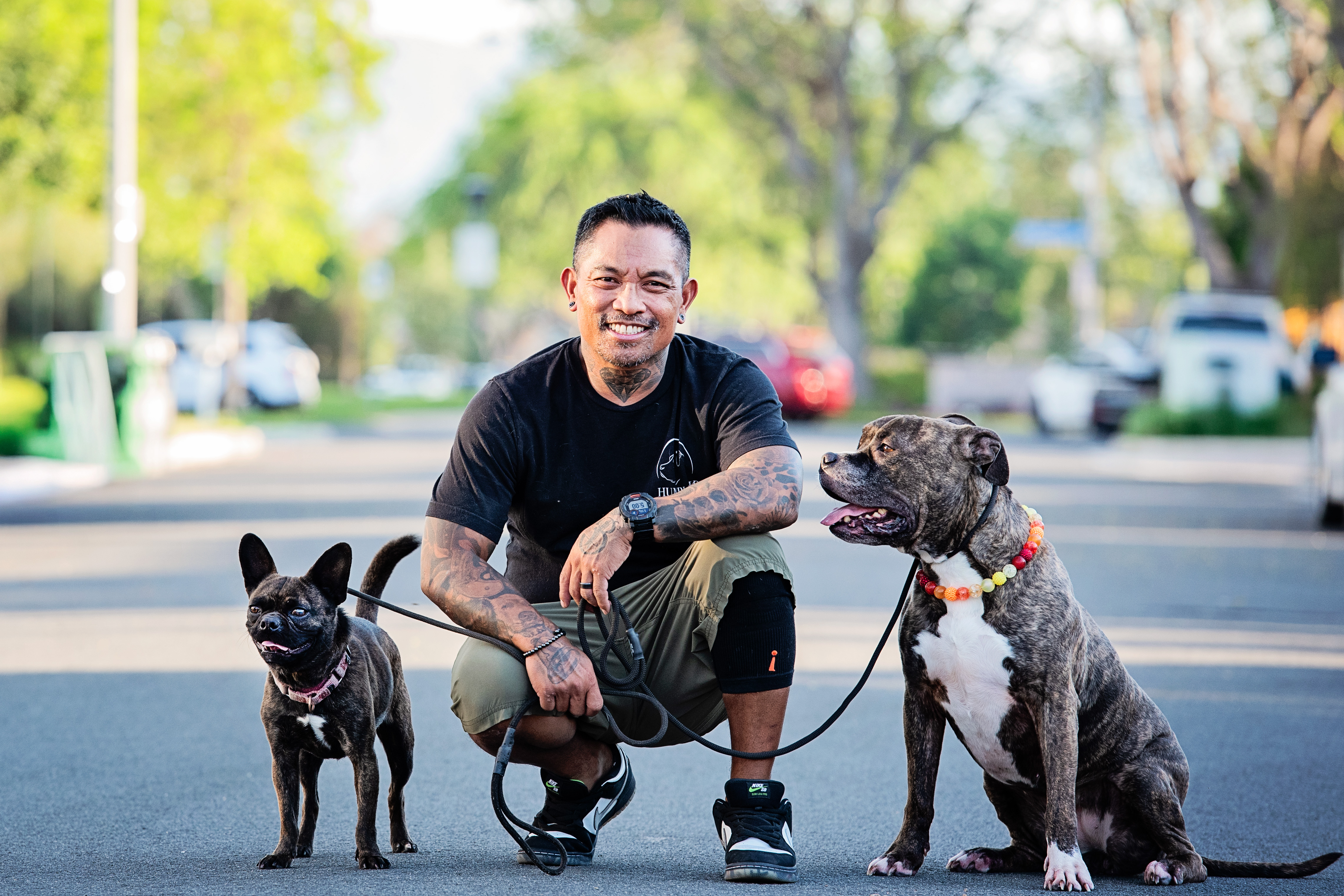 Dog Trainer