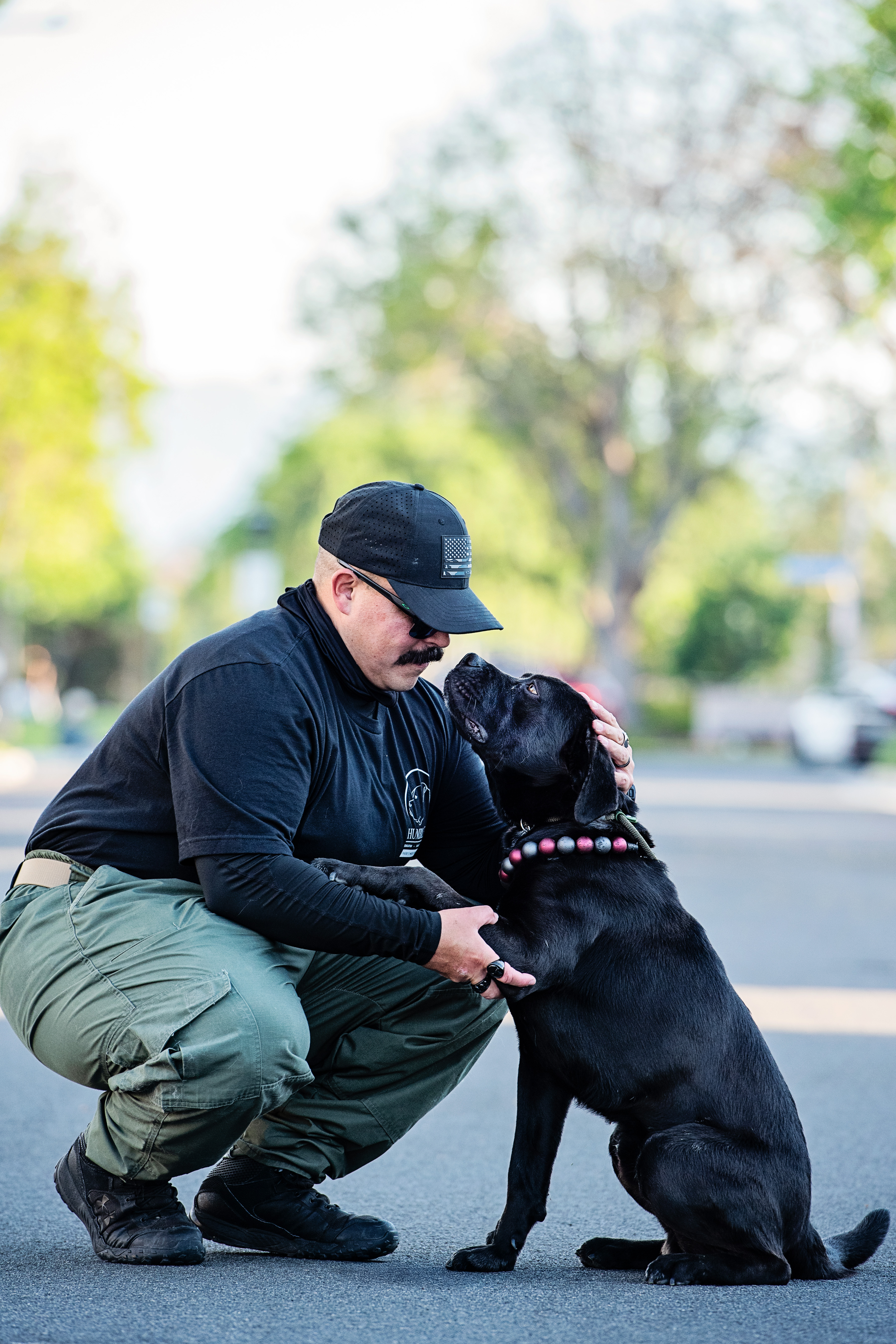 Trainer communicating with dog