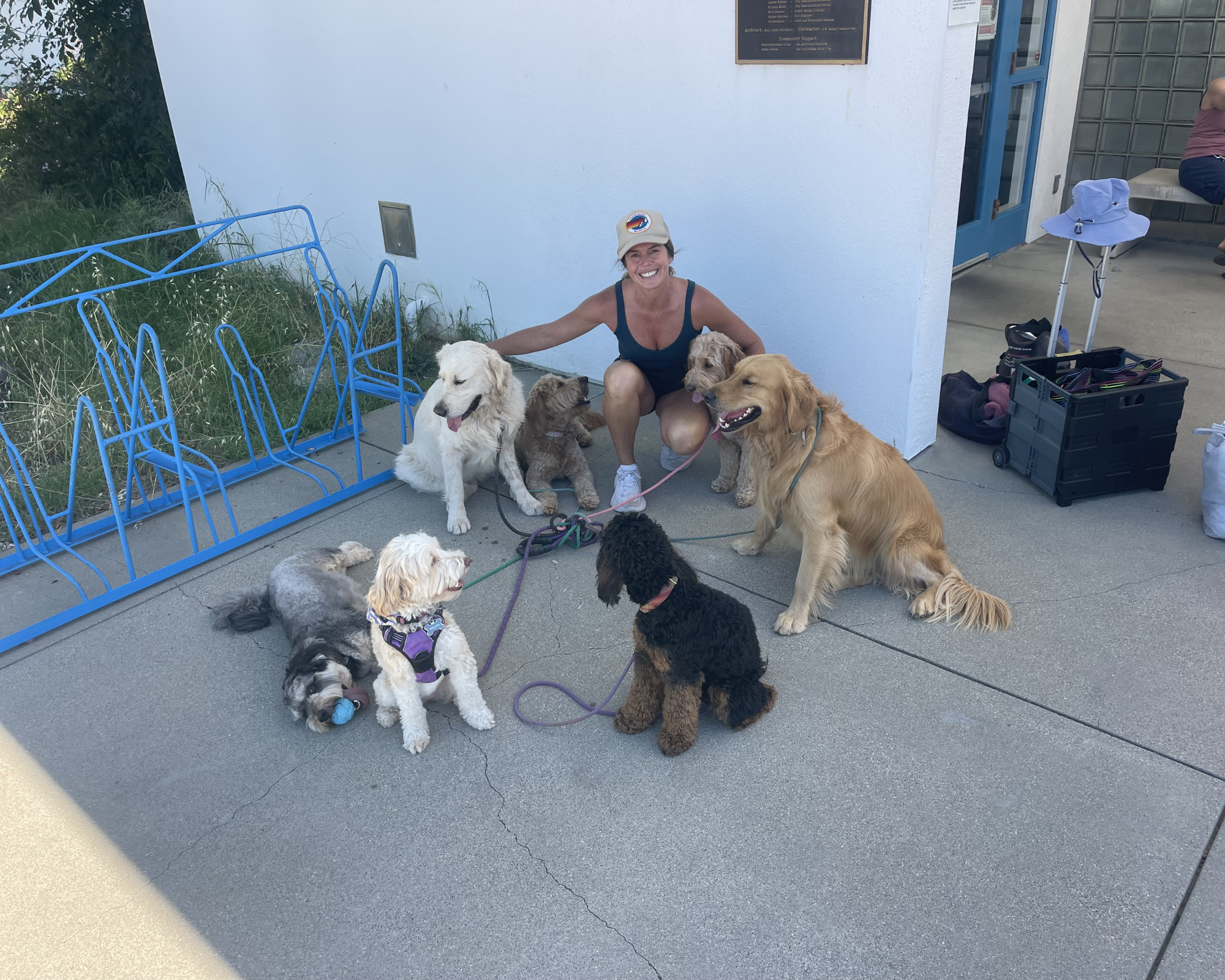 Debbie caring for dogs during the day