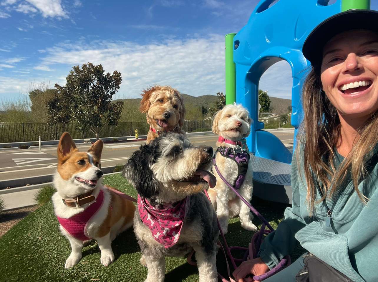 Neighborhood pack walks