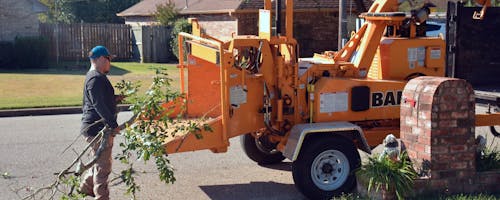Debris Chipping & Hauling