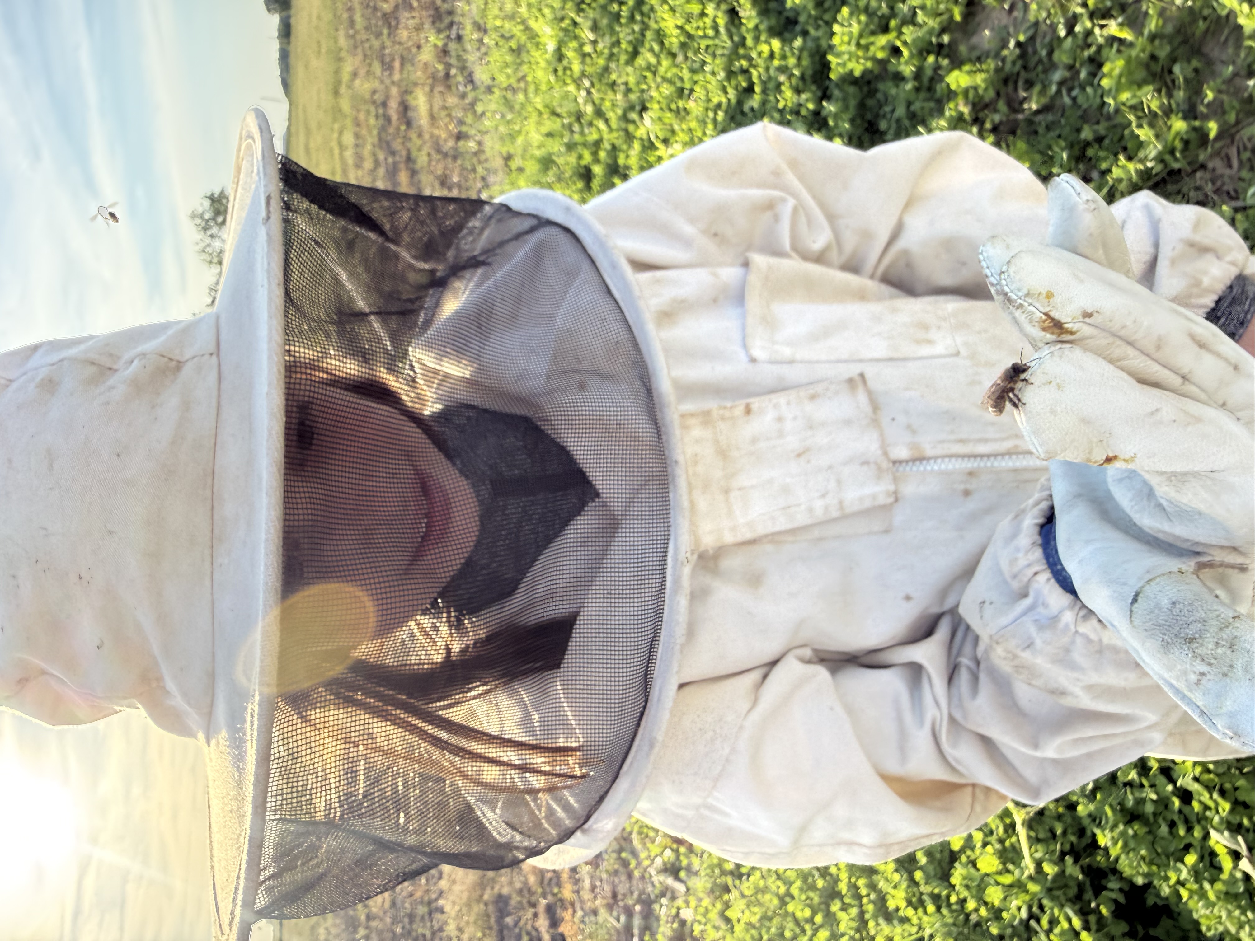 Bee bed experience room